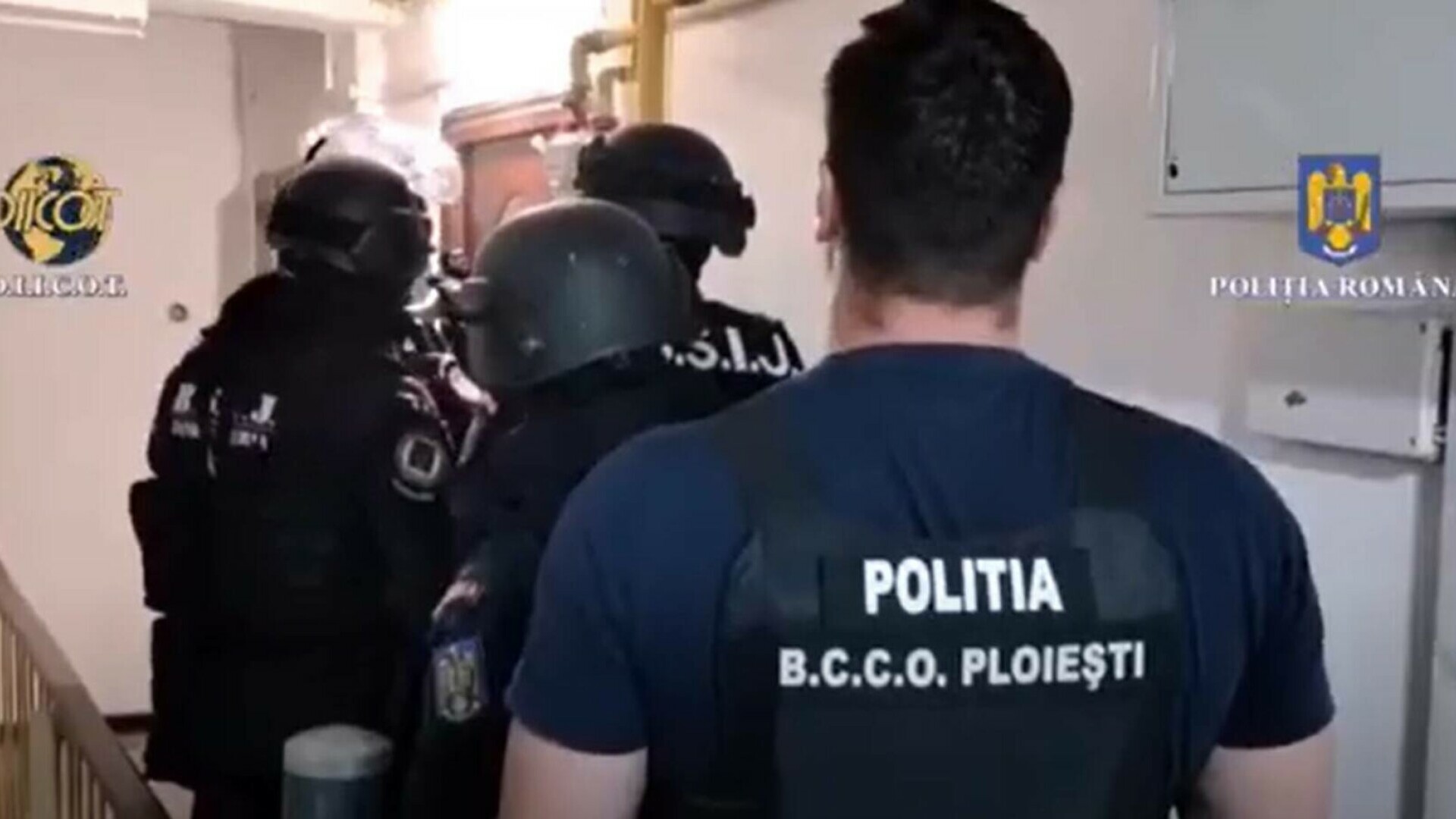 Operațiunea "Ziua Z". Peste 260 de percheziții pentru destructurarea unor grupări infracționale organizate. VIDEO