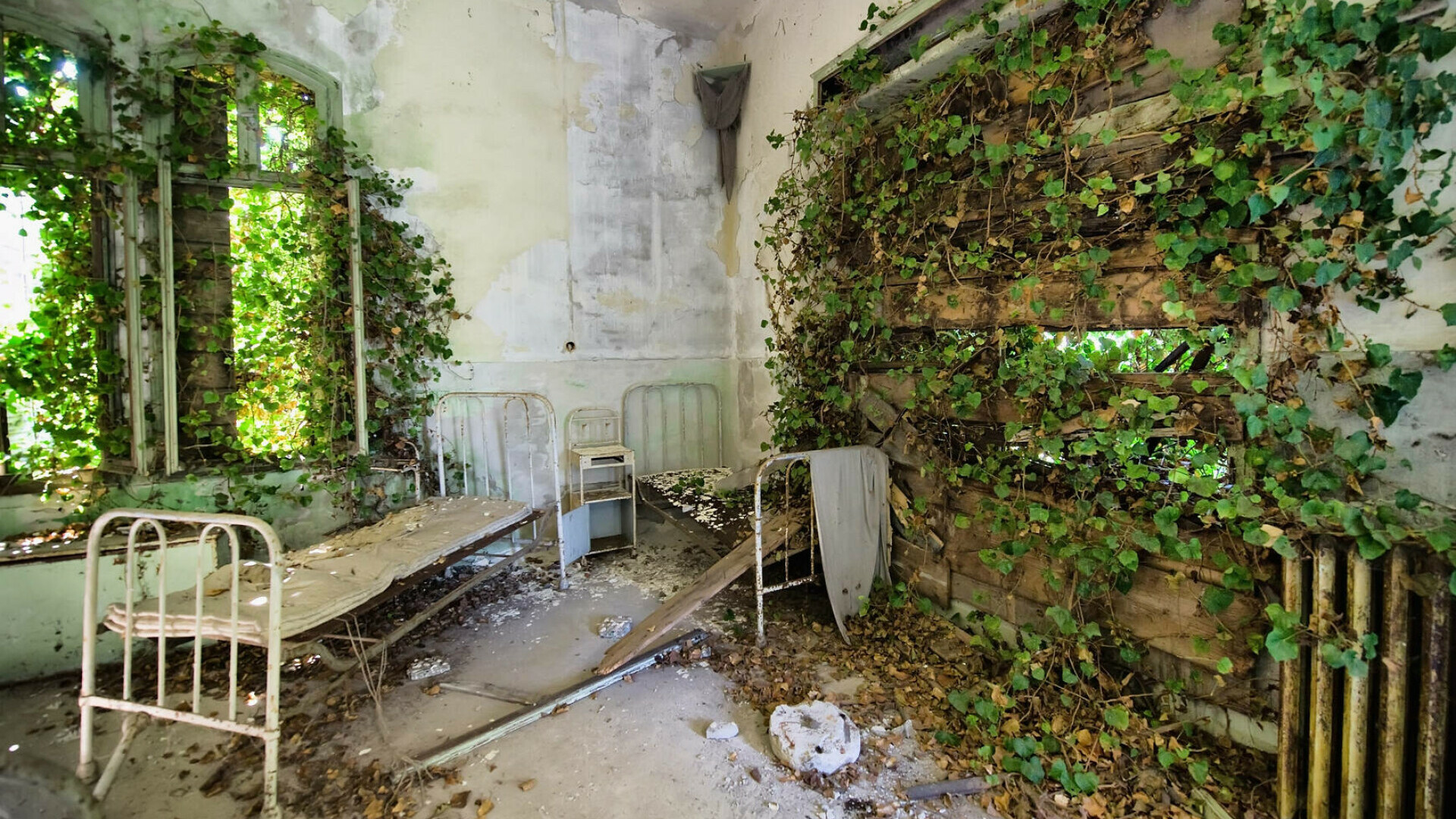 Insula cu 160.000 de corpuri, interzisă turiștilor. Un cuplu de Youtuberi au făcut descoperiri înfiorătoare
