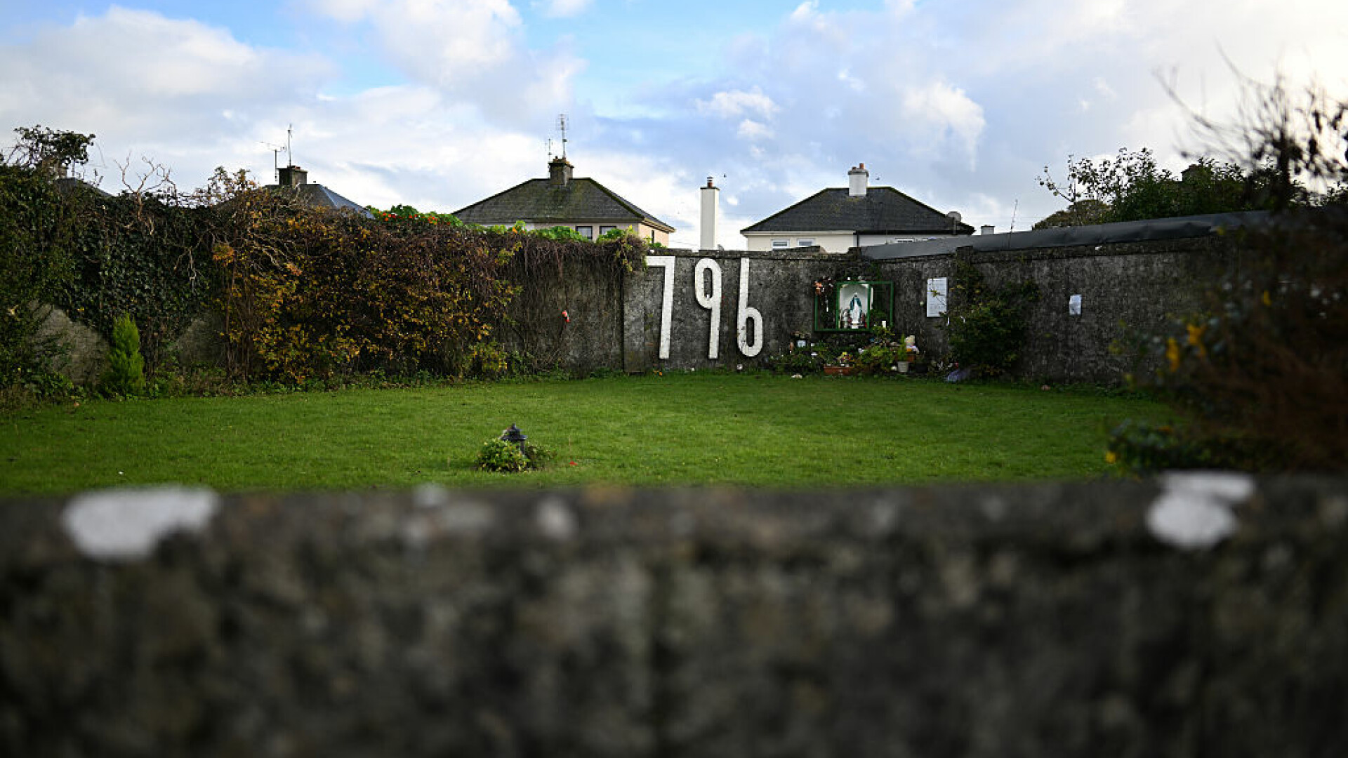 bebelusi irlanda