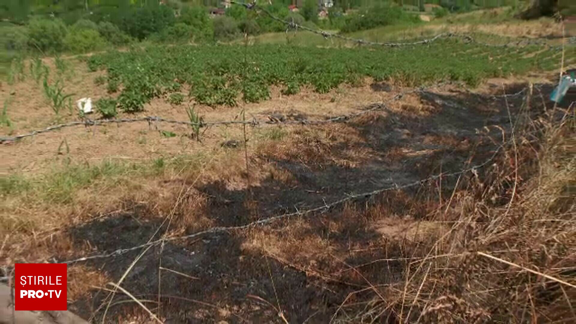 Un bărbat din Cluj a murit după ce a fost prins de flăcări în timp ce incendia vegetație uscată