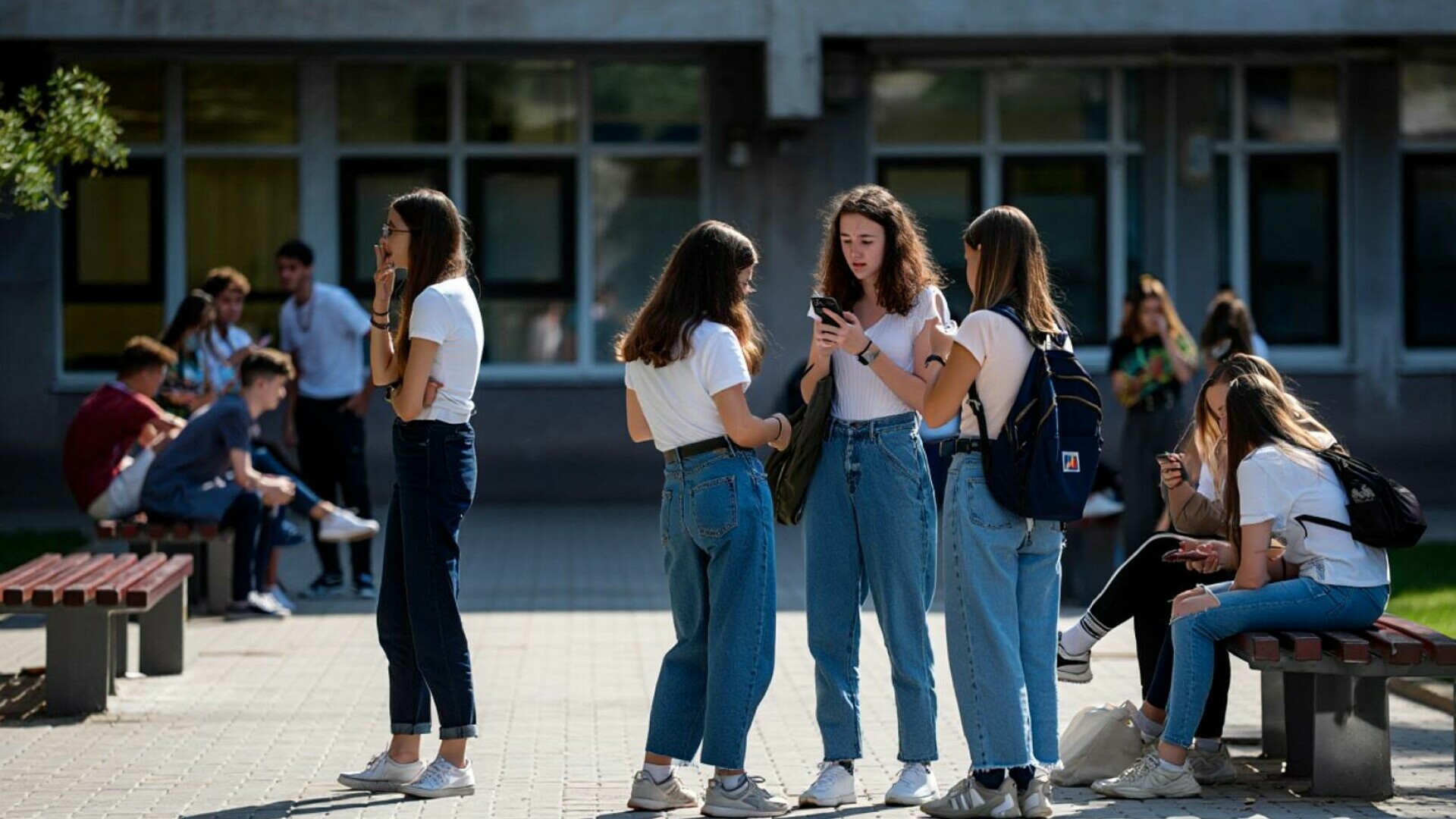 Expert în Educație: România are nevoie urgent de standarde de calitate pentru un sistem „credibil la nivel internațional”
