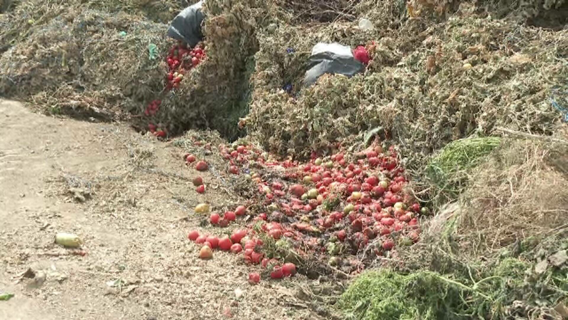 Tone de legume sunt aruncate în Tecuci la groapa de gunoi. Fermierii spun că nu au timp să doneze