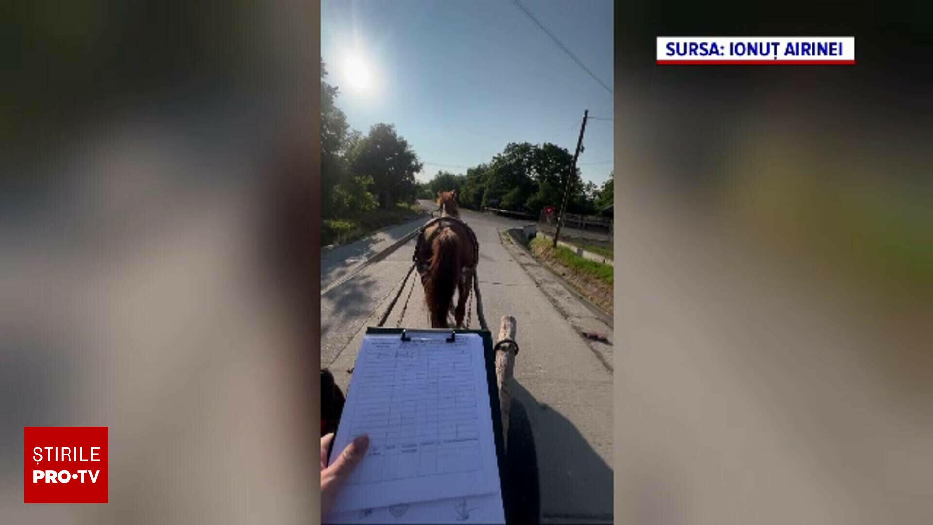 Un instructor auto a devenit viral pe rețelele sociale după ce a început să dea lecții de condus căruța