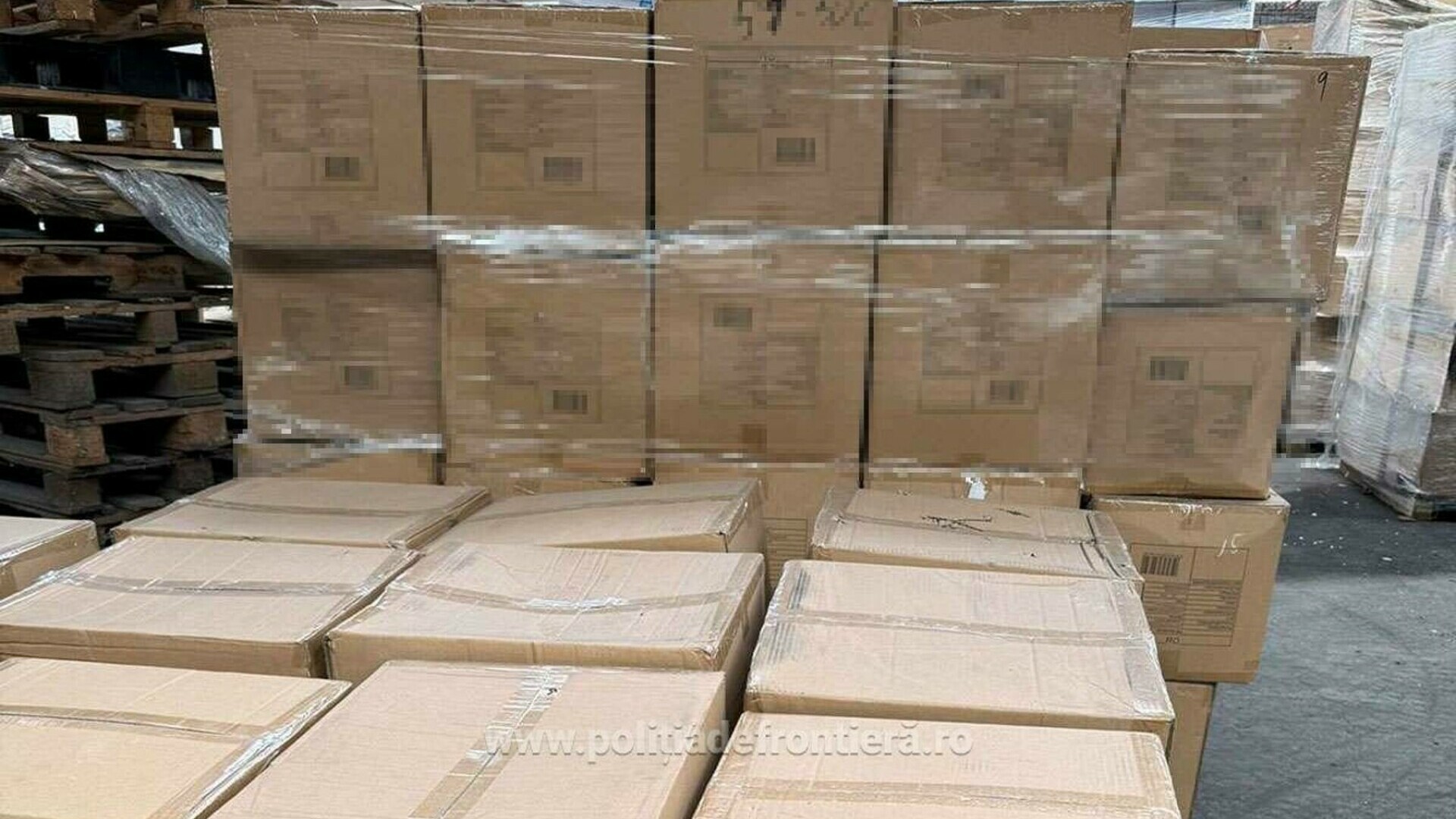 Captură de aroape 1,8 milioane de euro în Portul Constanţa. Ce se ascundea într-un container cu plăci ceramice. FOTO & VIDEO