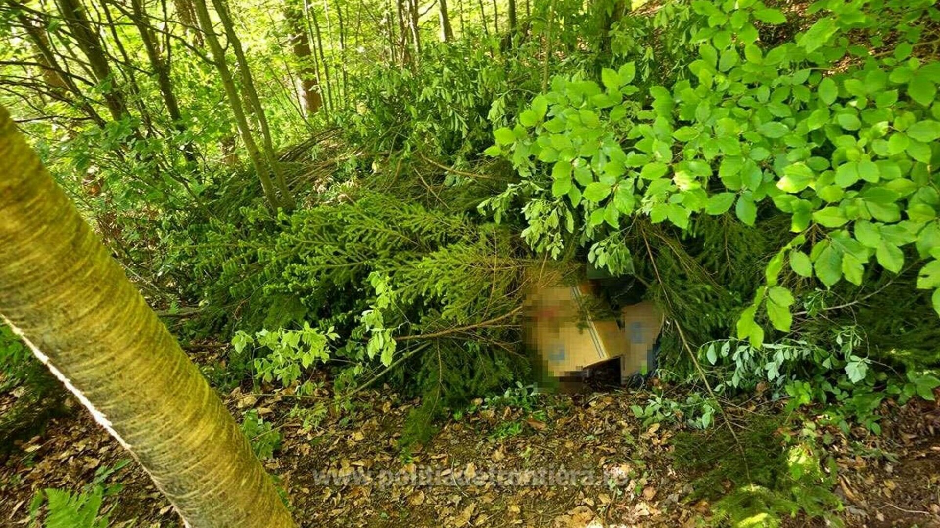 Ce au descoperit polițiștii de frontieră din Suceava în zeci de cutii ascunse în vegetație. Costă peste 1,7 milioane de lei