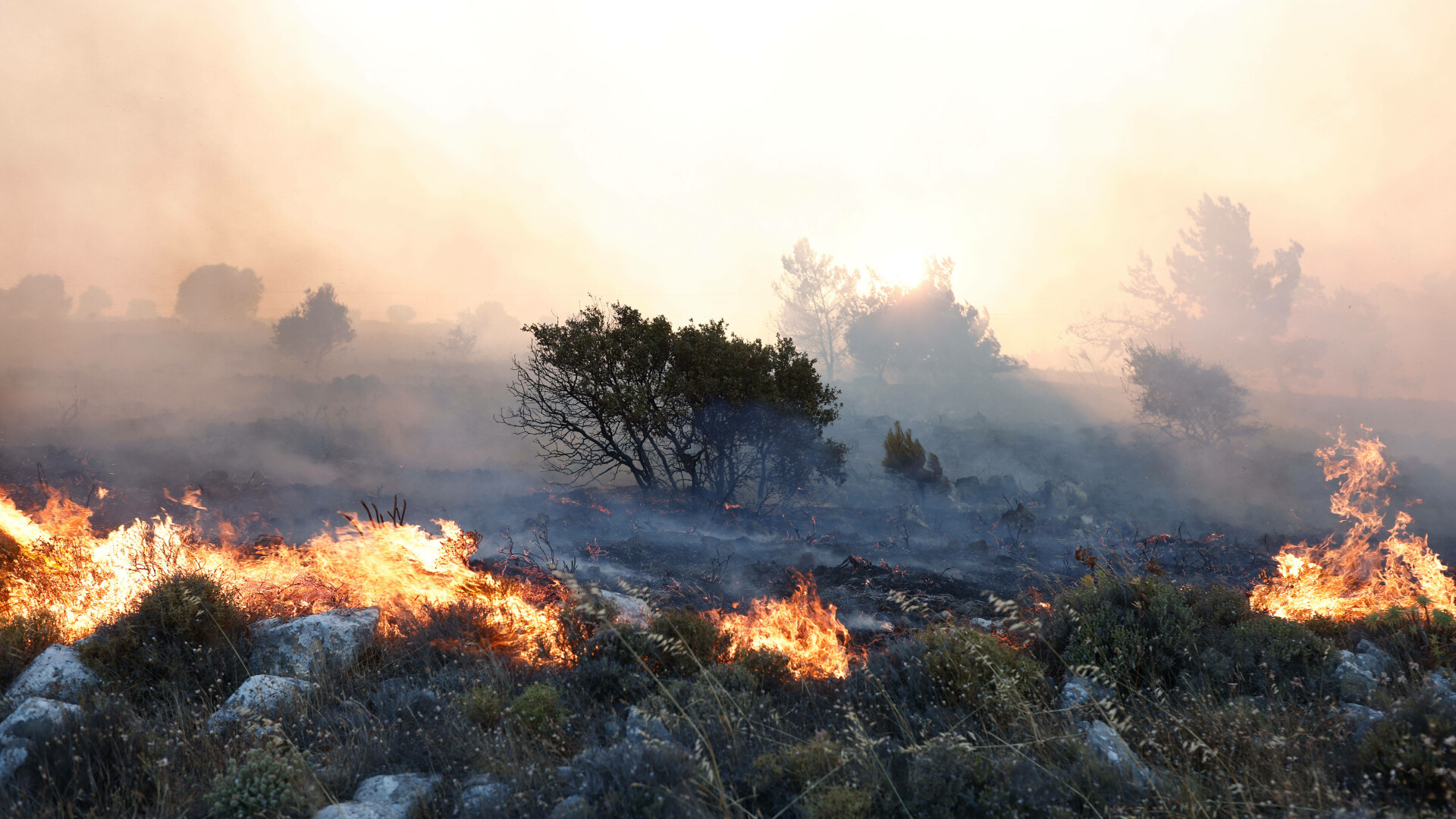 Epidemia invizibilă: Efectele nebănuite ale fumului de la incendii de vegetație