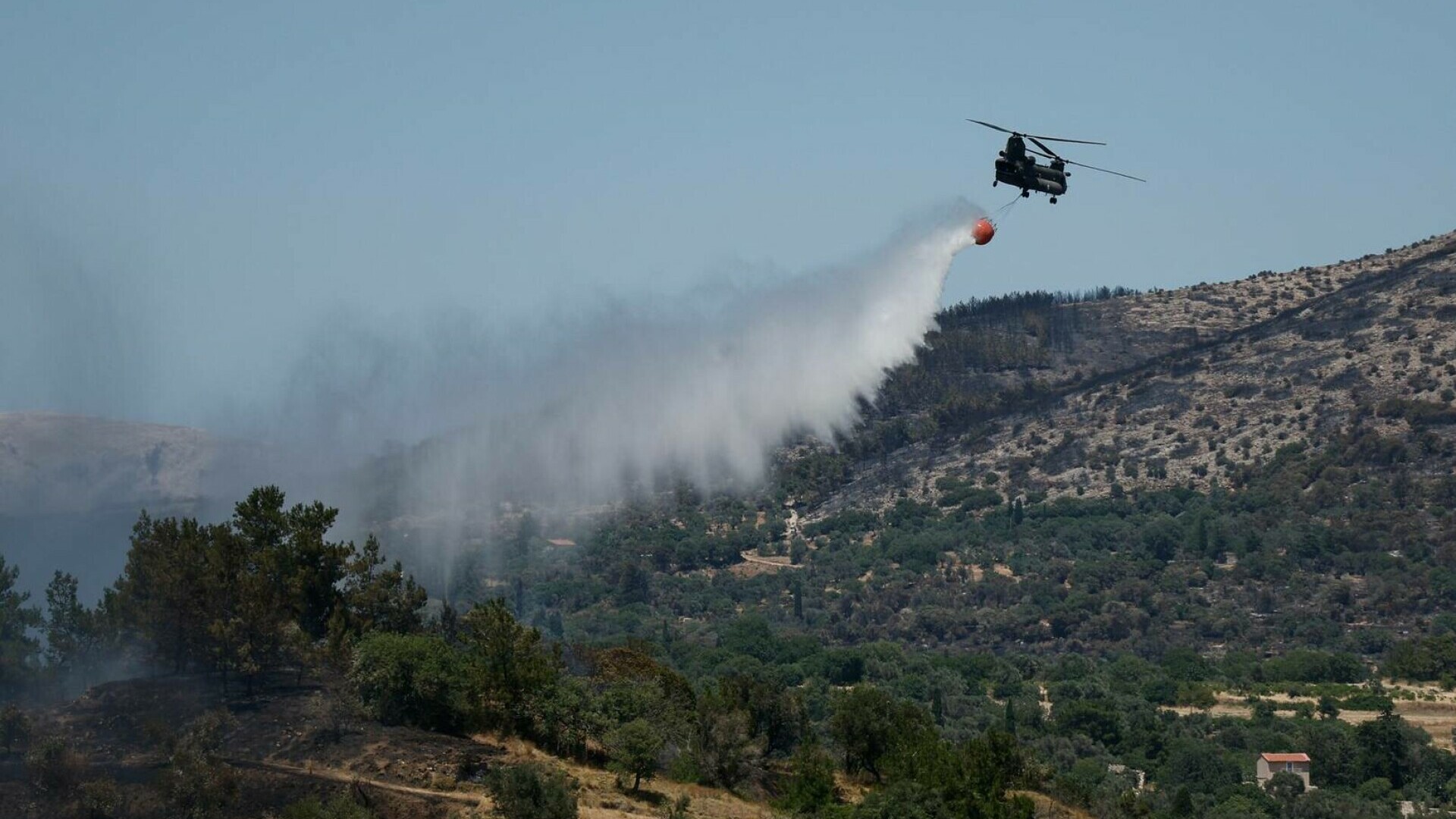 Incendiile de vegetație din sudul Atenei, controlate temporar. Riscul de izbucnire a focului rămâne ridicat | GALERIE FOTO
