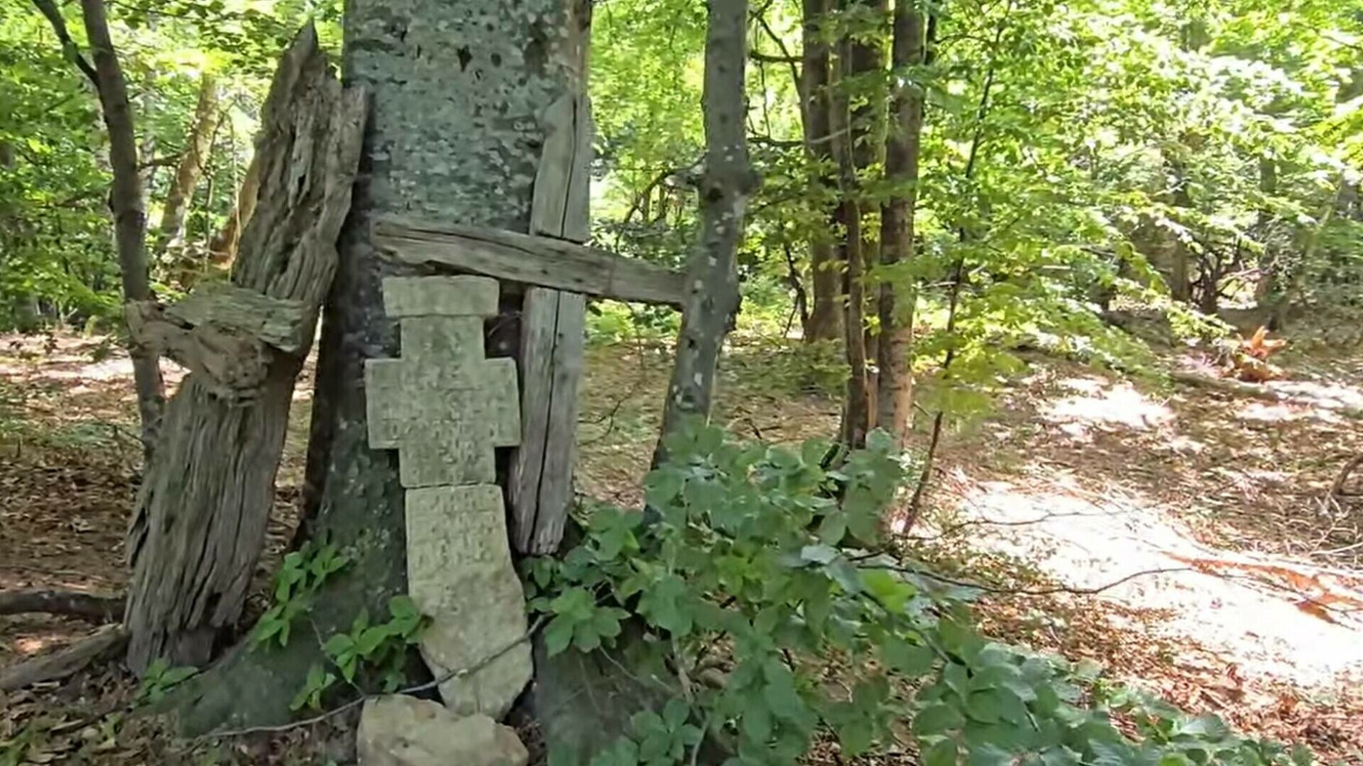 Ce au descoperit localnicii într-o pădure din Buzău. „Cine le-o fi ridicat acolo”