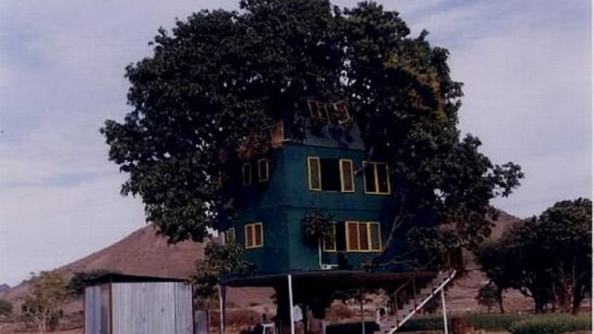 casa din mango