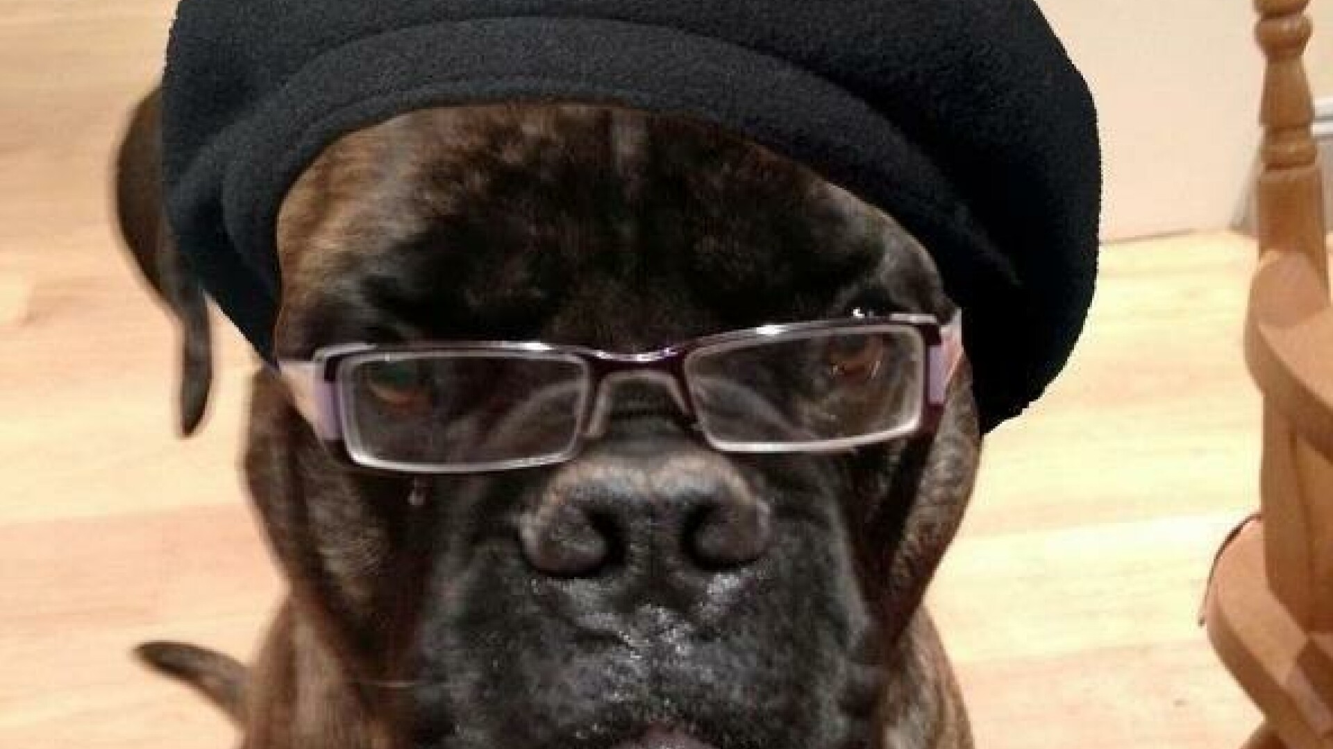 Samuel L. Jackson