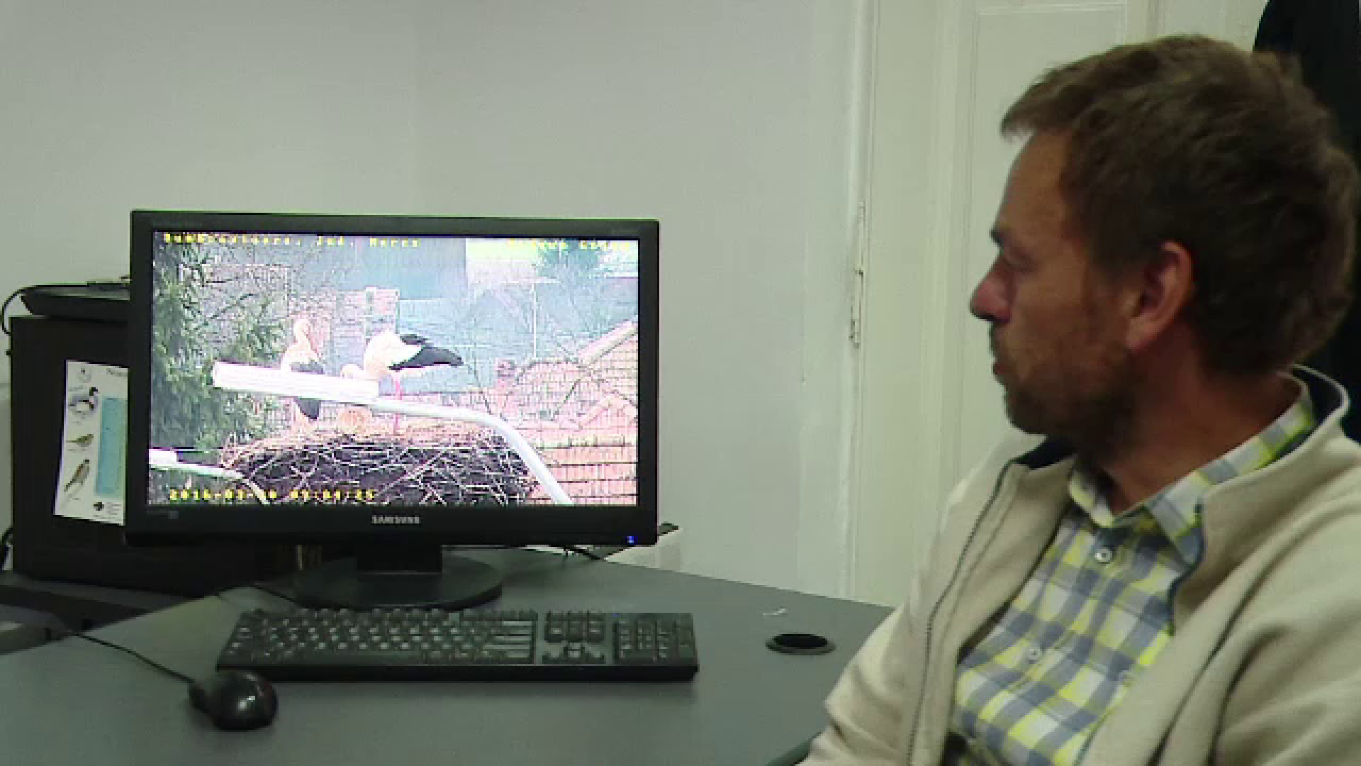 La tecnologia ha raggiunto anche i nidi delle cicogne Mures.  Cosa hanno scoperto gli specialisti dopo aver installato diverse webcam