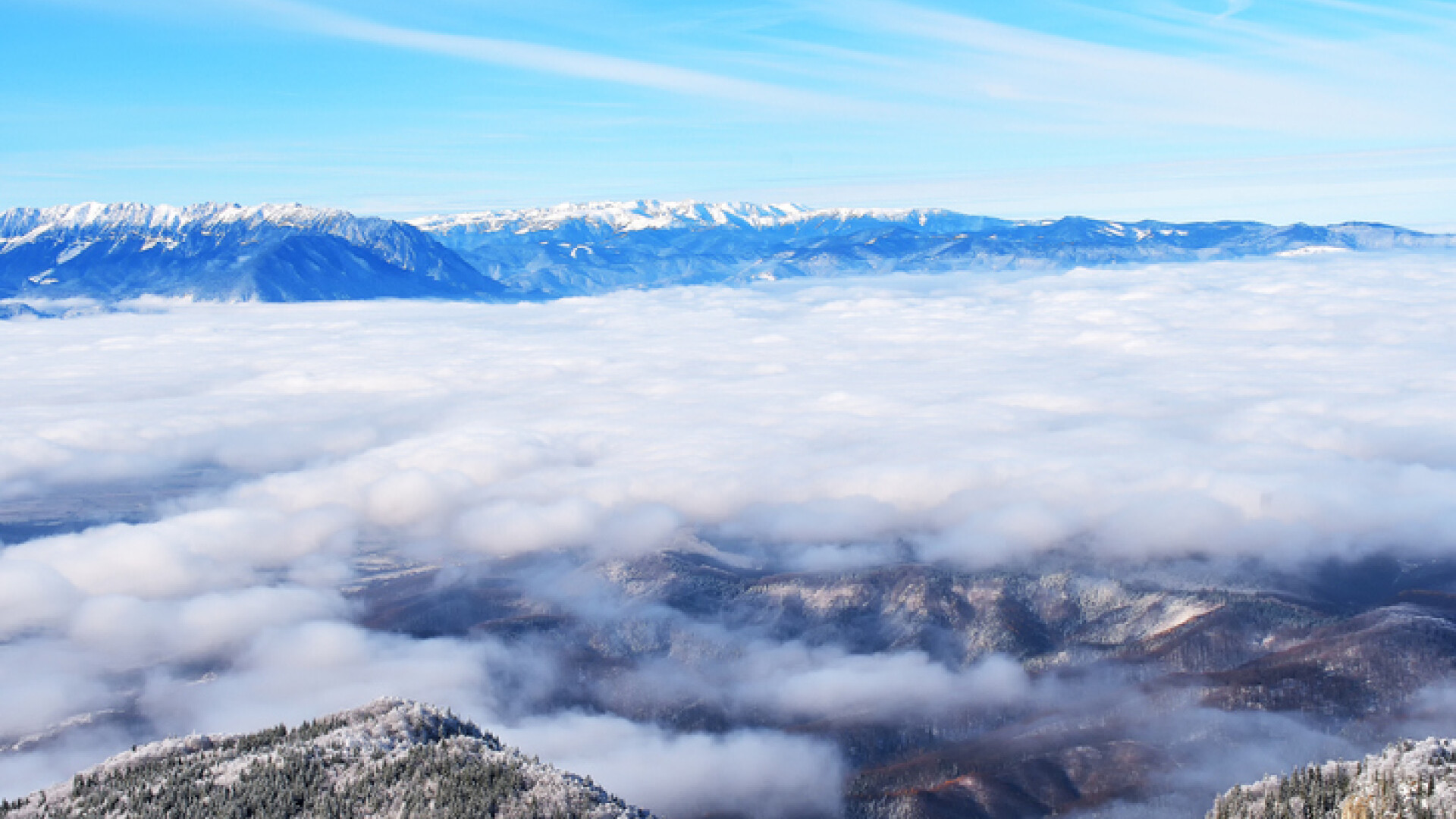 nori poiana brasov