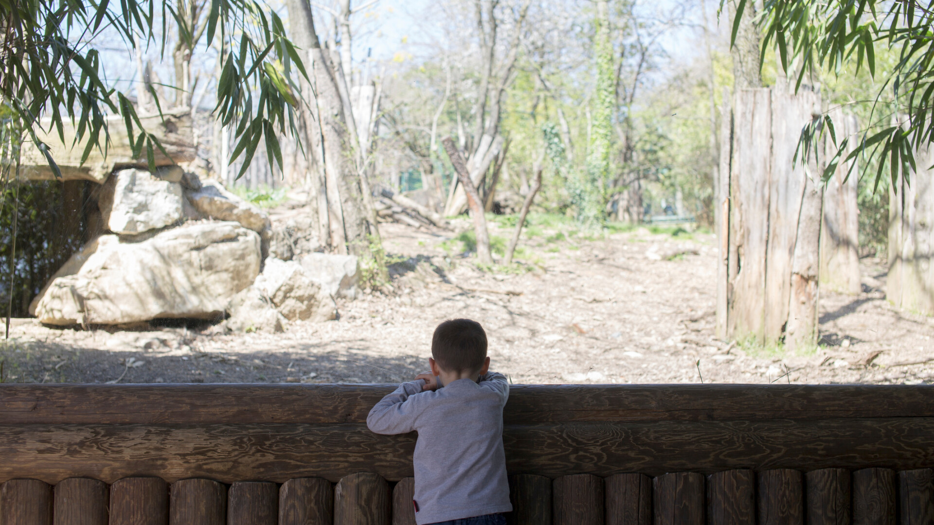 gradina zoologica