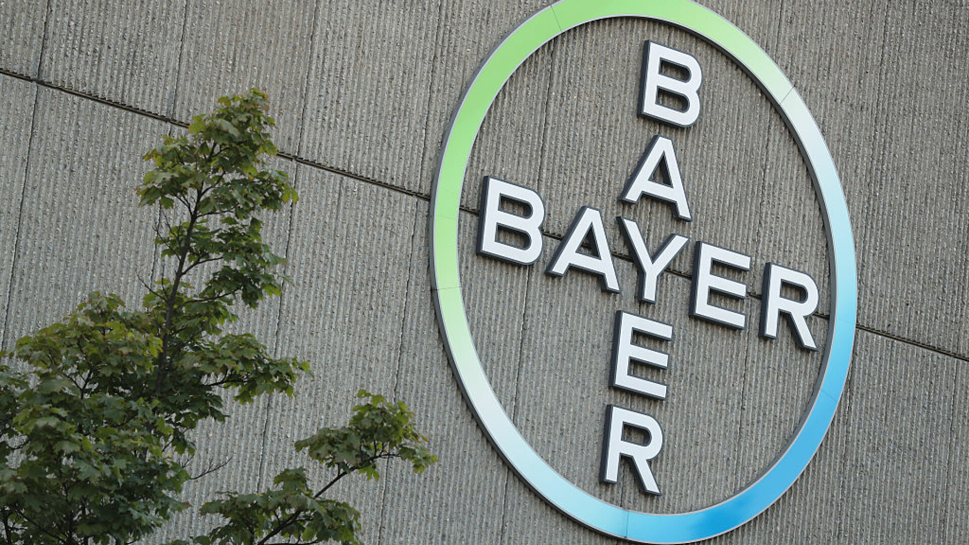 Bayer suspendă publicitatea și investițiile în Rusia. Gigantul farmaceutic explică de ce nu poate stopa livrarea de produse