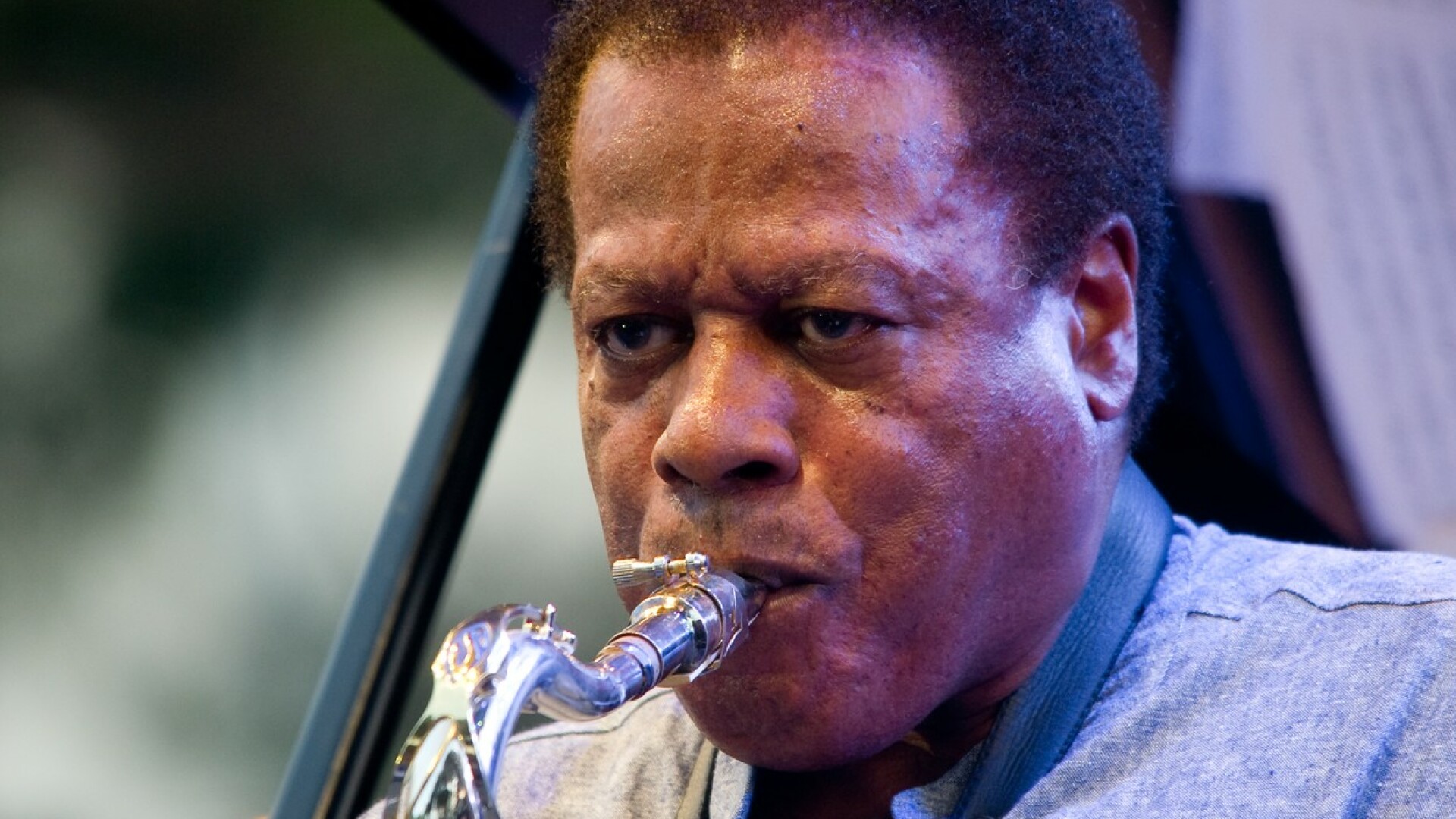 wayne shorter