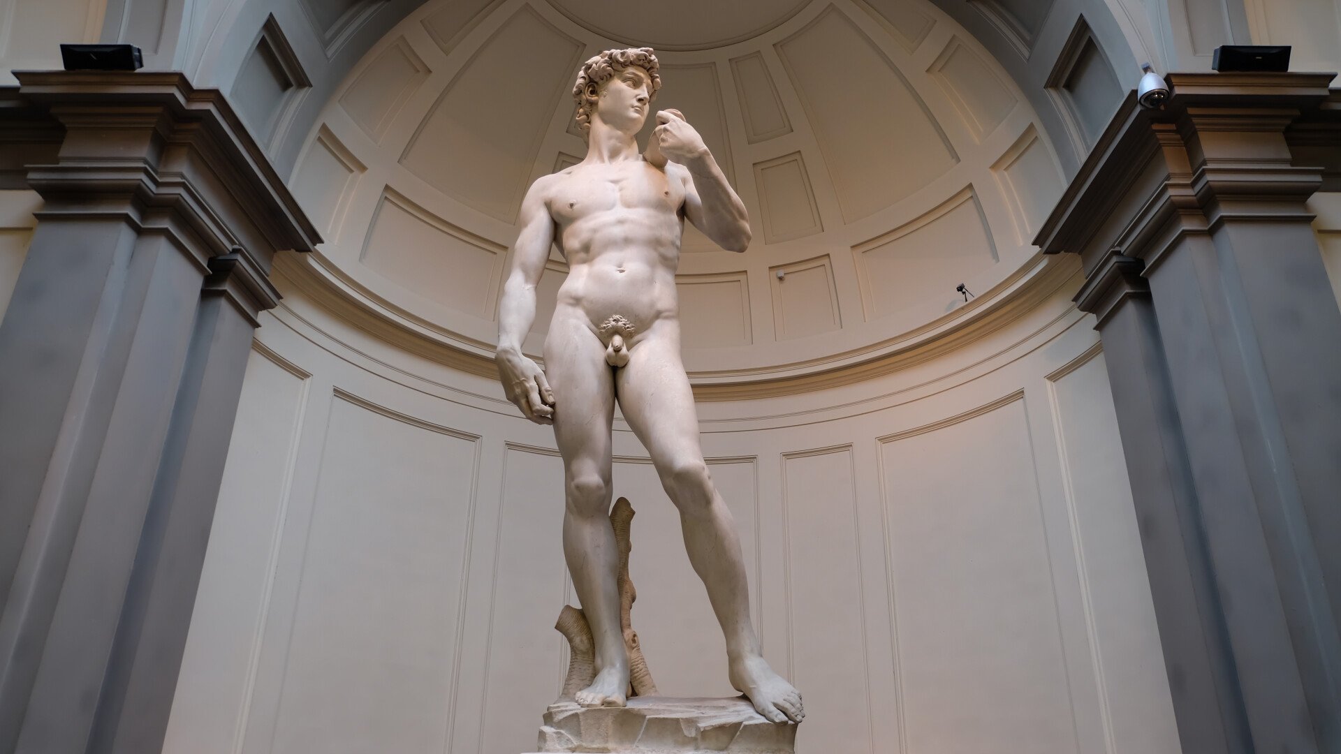 david michelangelo