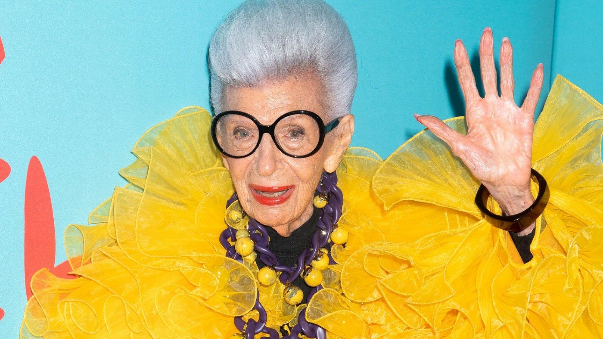 iris apfel