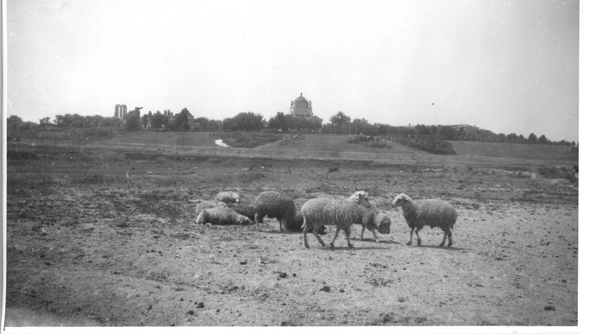 bucurești