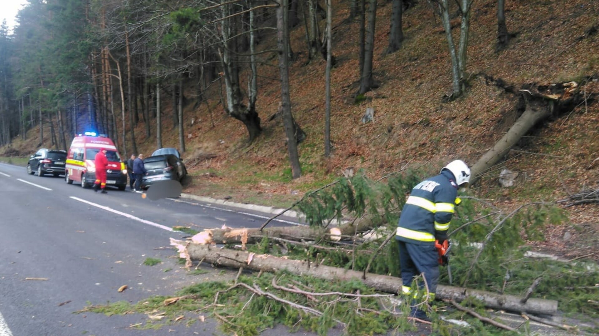 Un copac a căzut peste o mașină în care se aflau cinci copii, în Bistriţa-Năsăud. Unul dintre minori acuză dureri