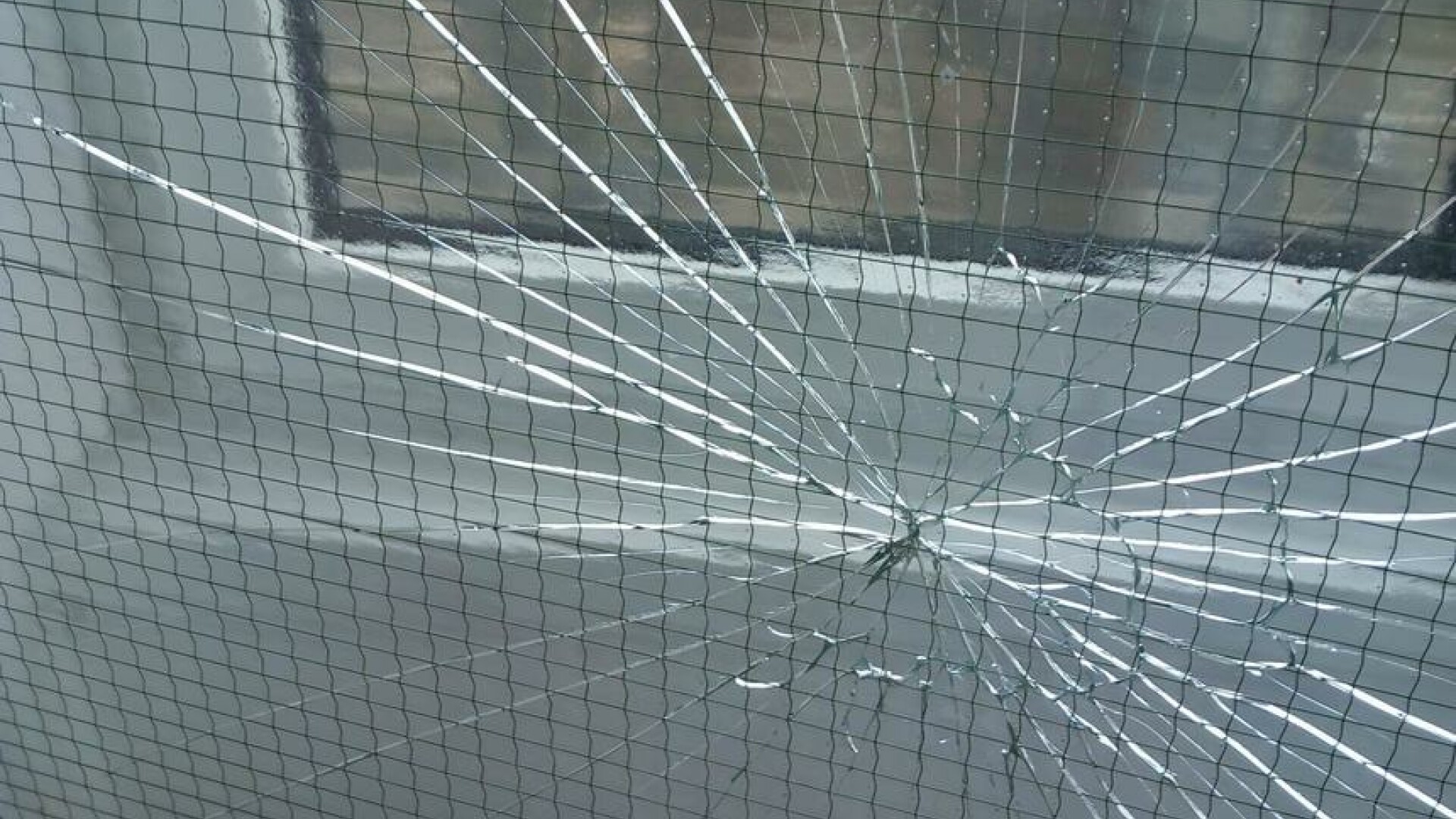 Amenzi ANPC camine studentesti