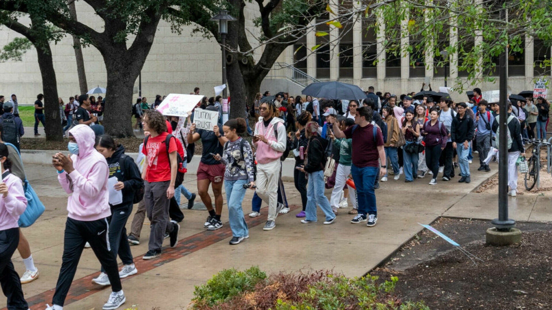 protest sua universitate