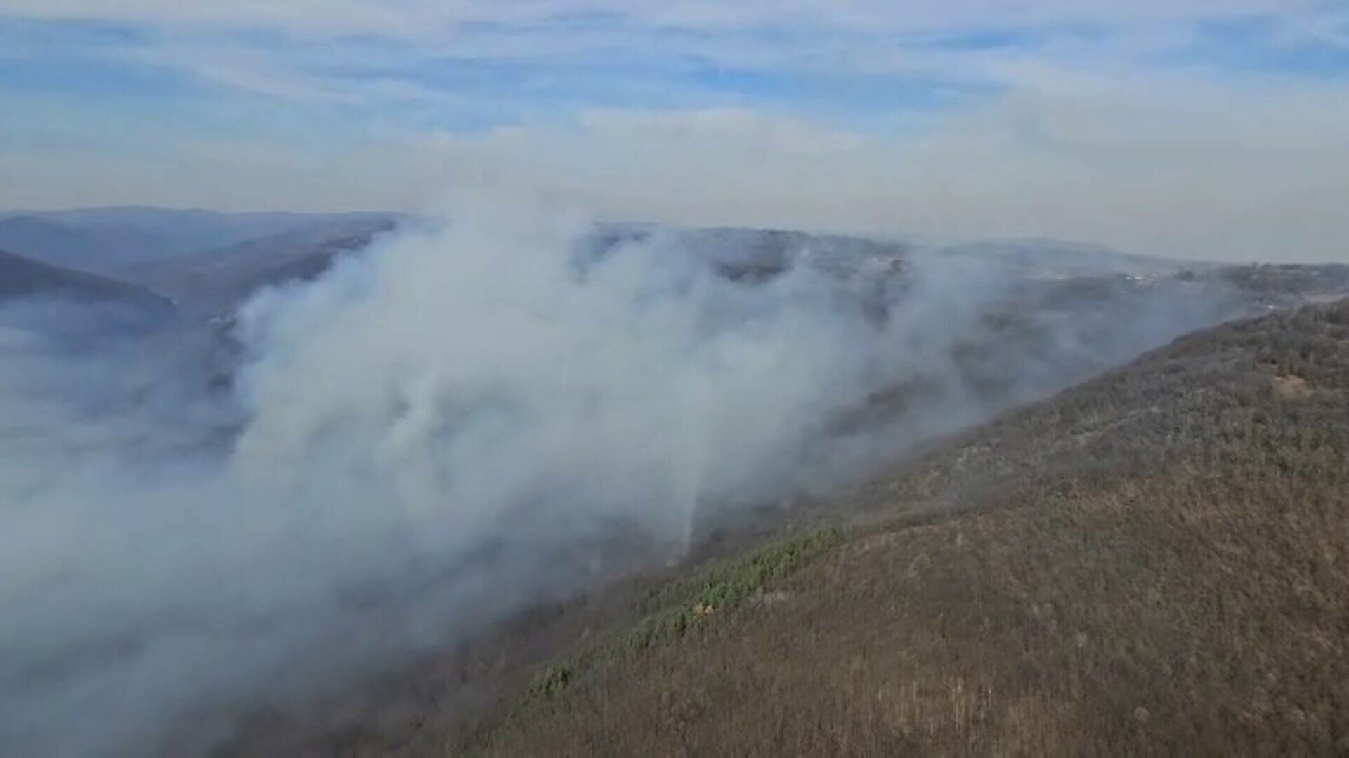 incendiu de vegetatie