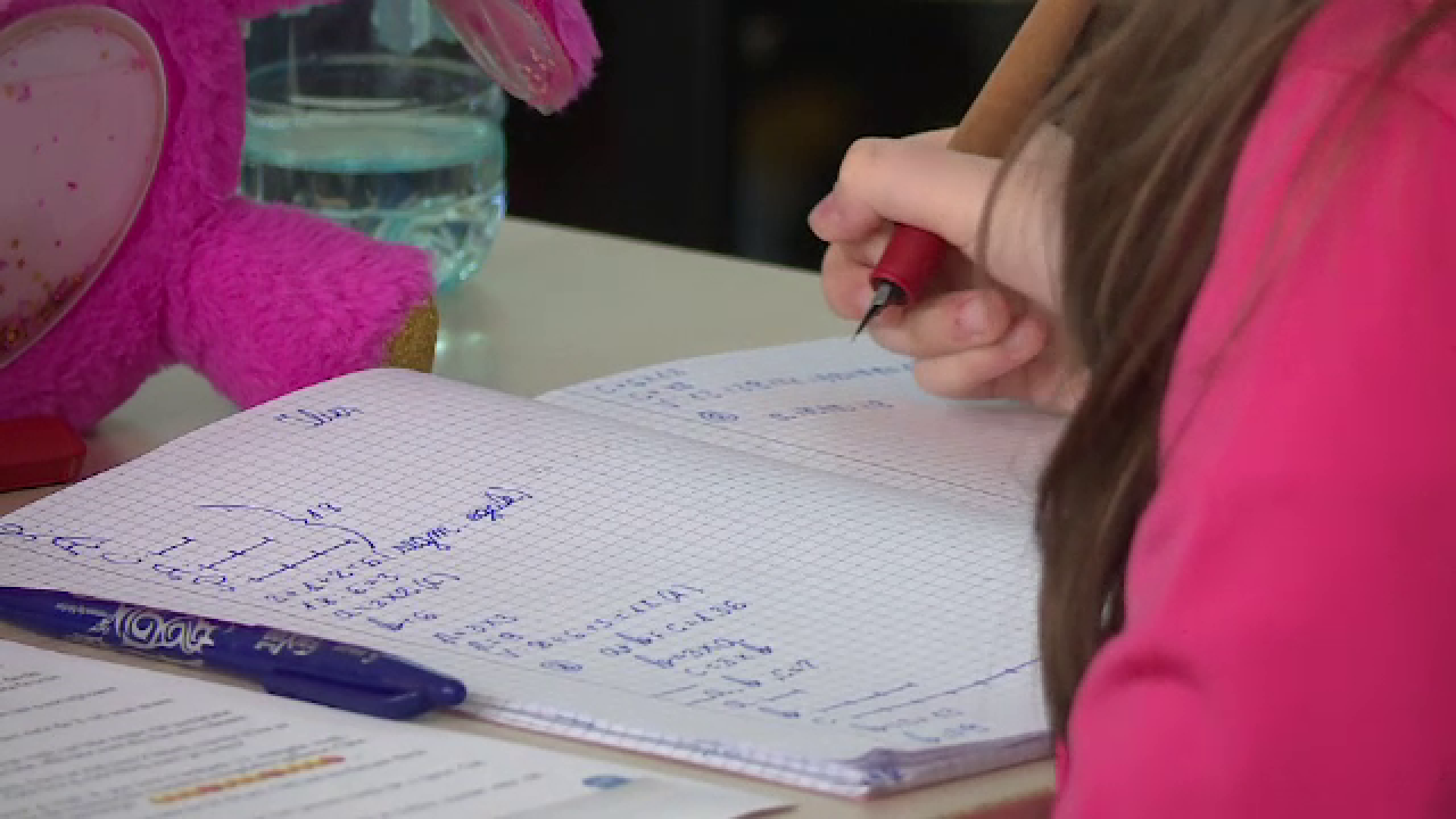 Ordinul care le permite elevilor să semnaleze abuzuri din școală prin „butonul roșu”, publicat în Monitorul Oficial