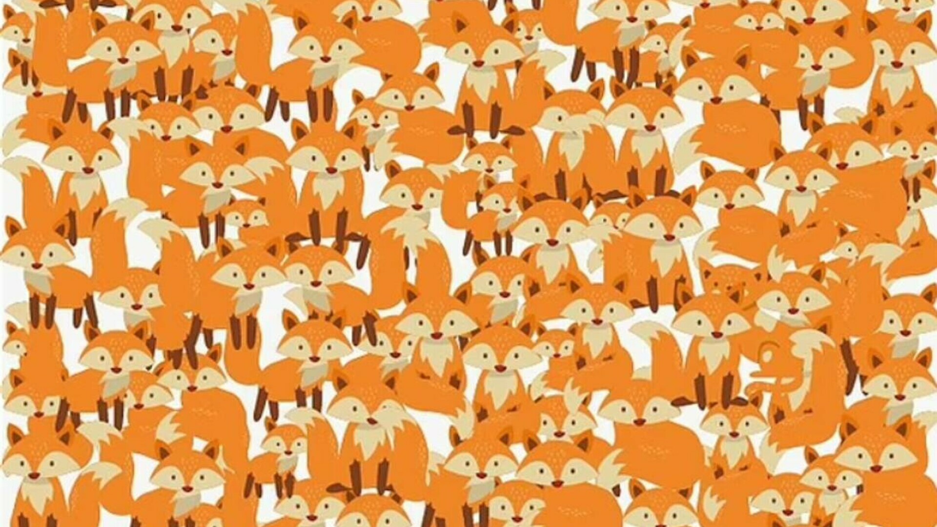 Poți să găsești pisica din imagine? Acest puzzle îți pune vederea și răbdarea la încercare