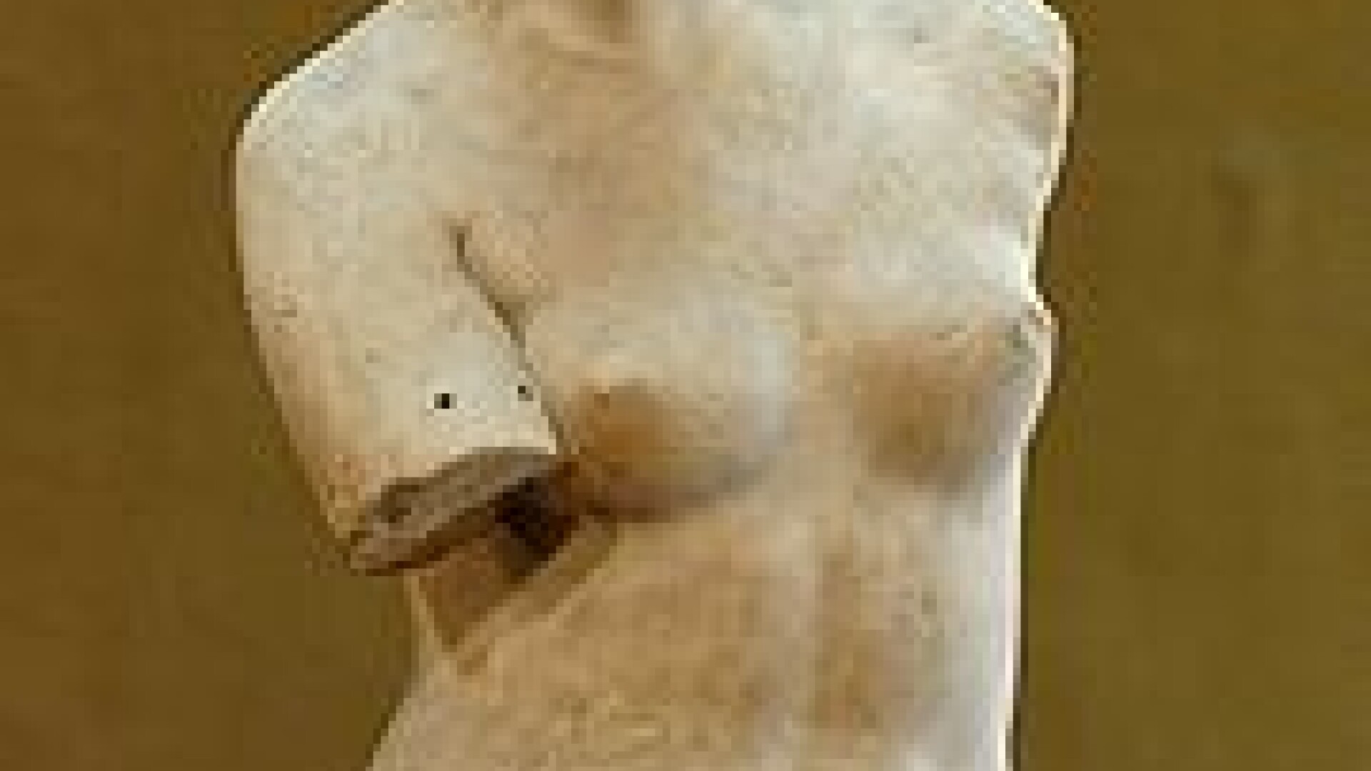 Venus din Milo