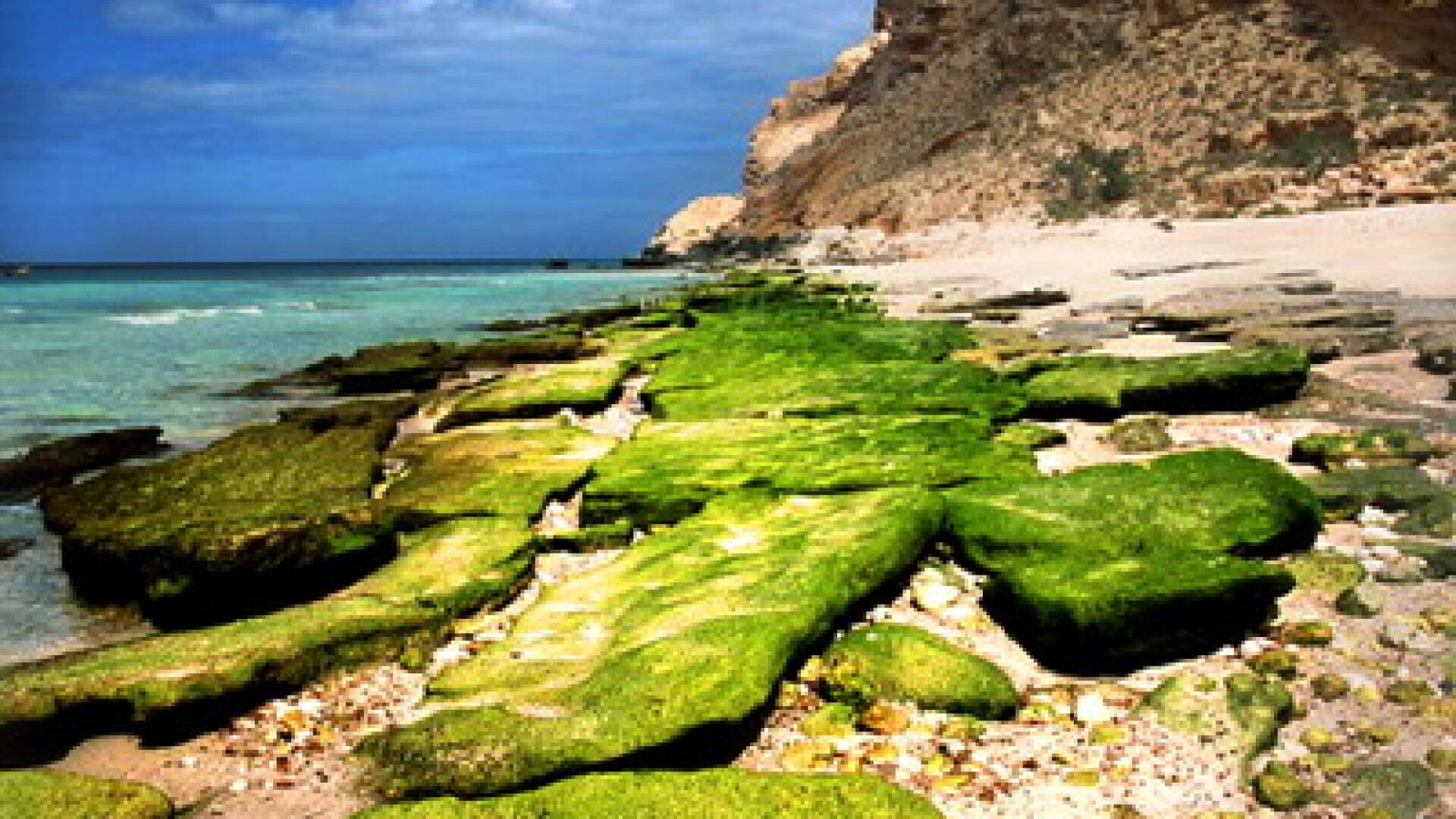 Insula Socotra10