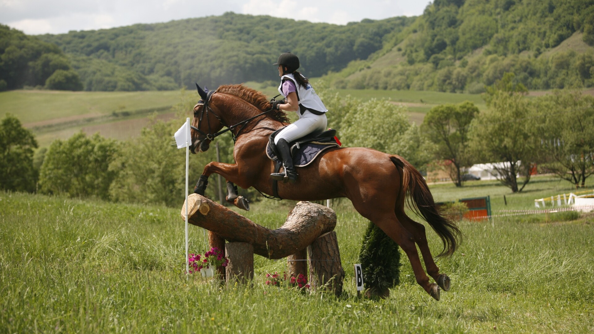 Transylvania Horse Show