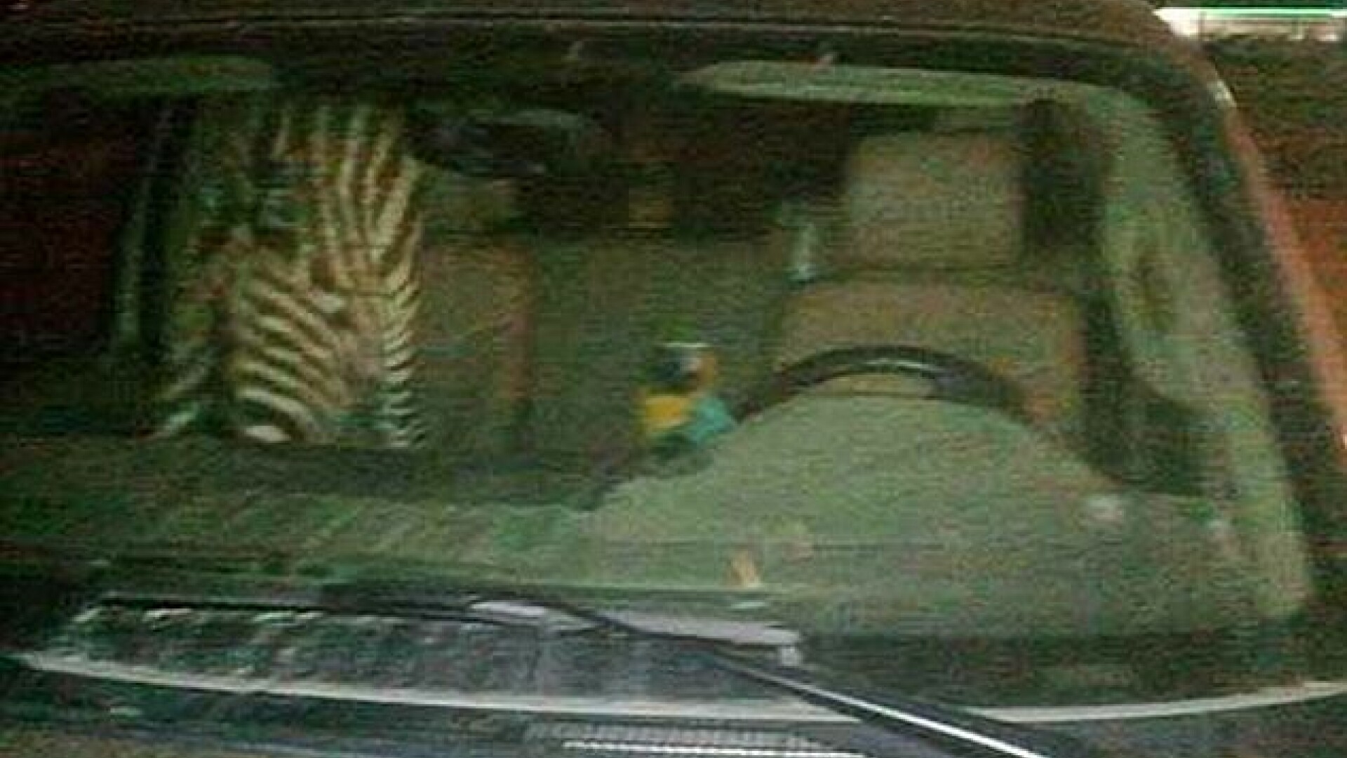 zebra macau arestare