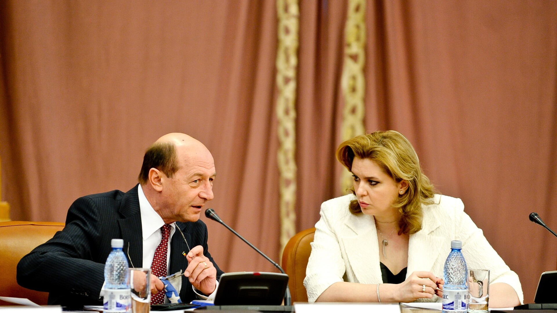 Roberta Anastase, Traian Basescu