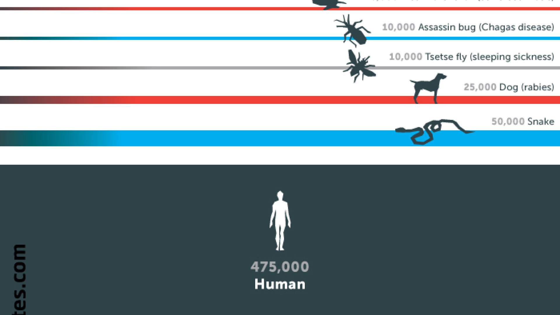 infografic cele mai mortale animale din lume