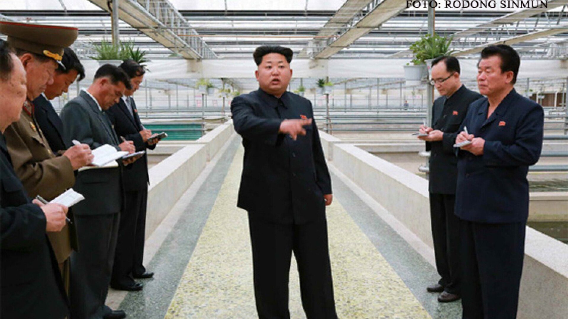 Kim Jong-un furios la crescatoria de testoase
