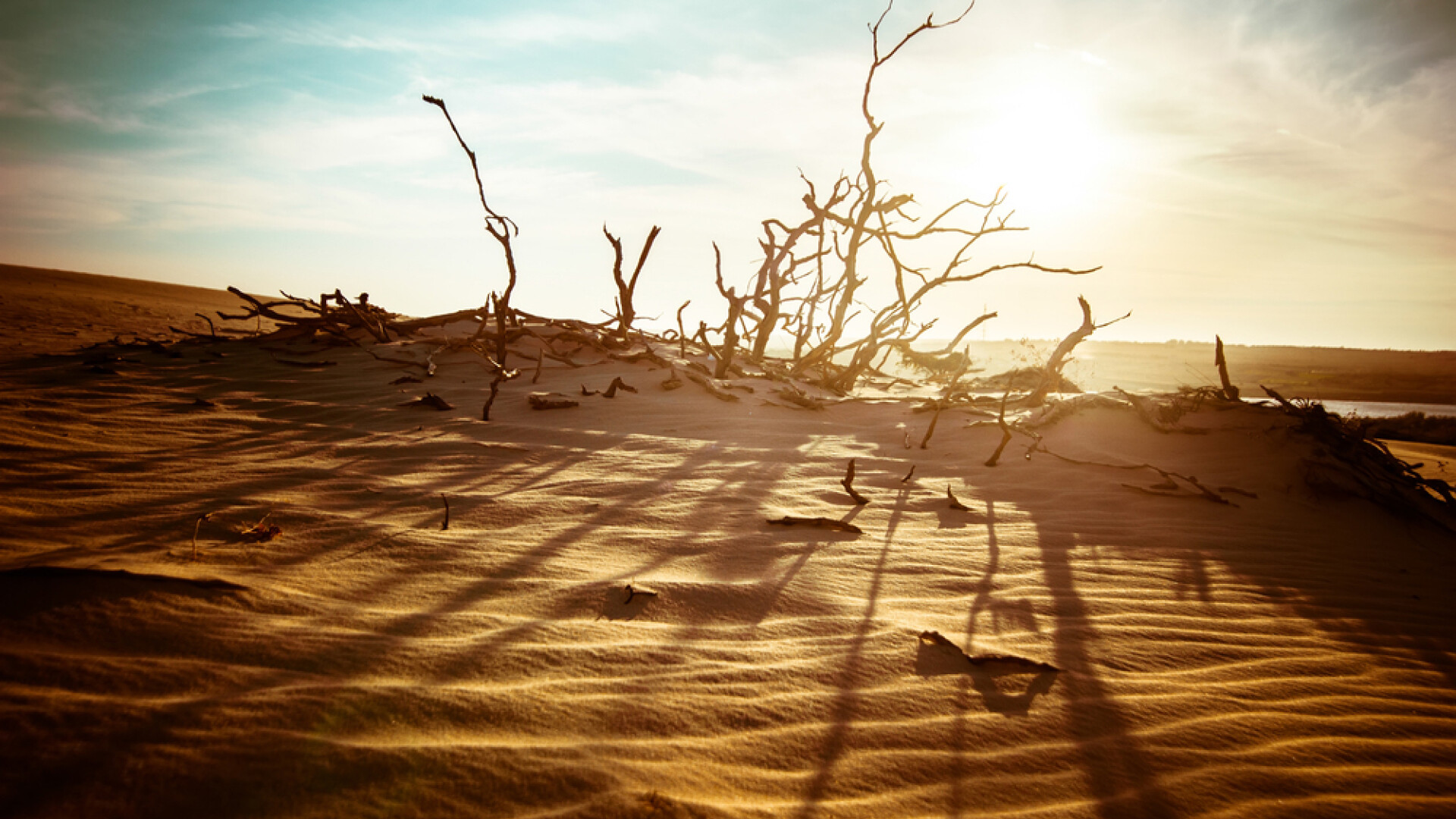dune de nisip in desert