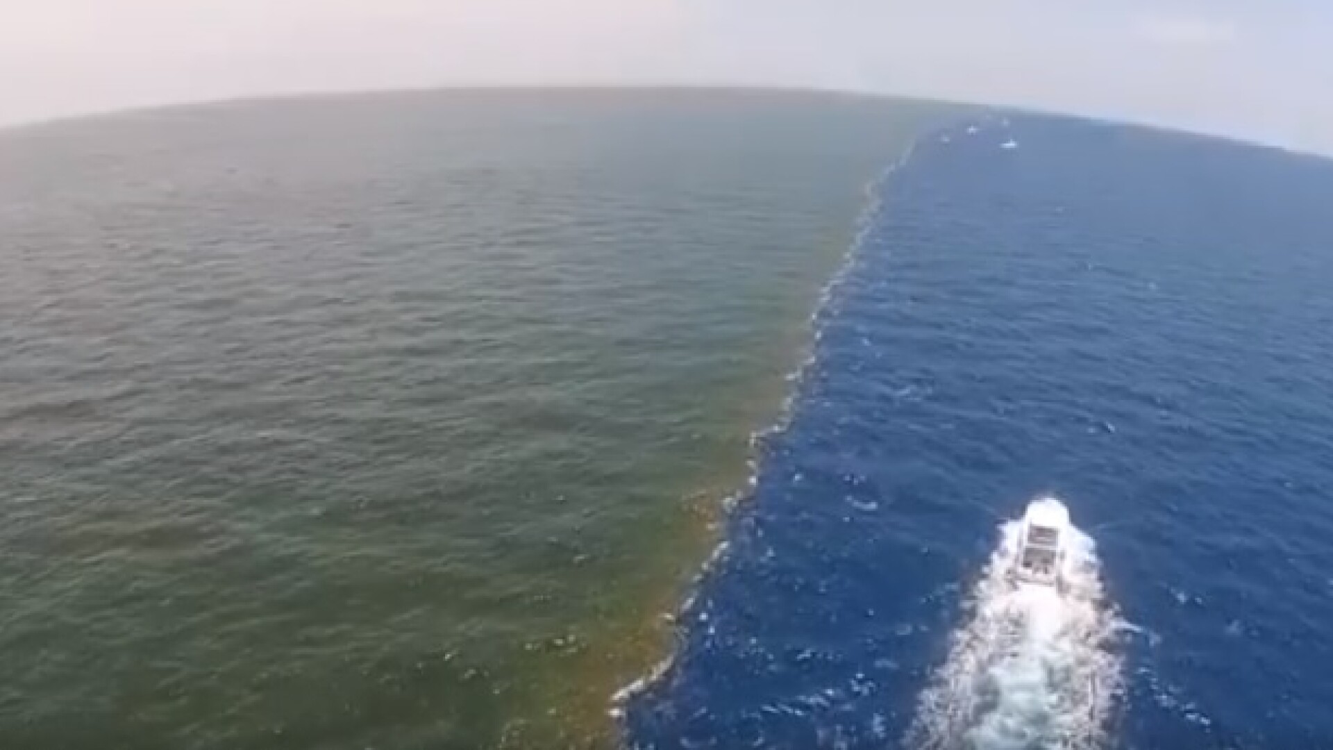 Golful Mexicului