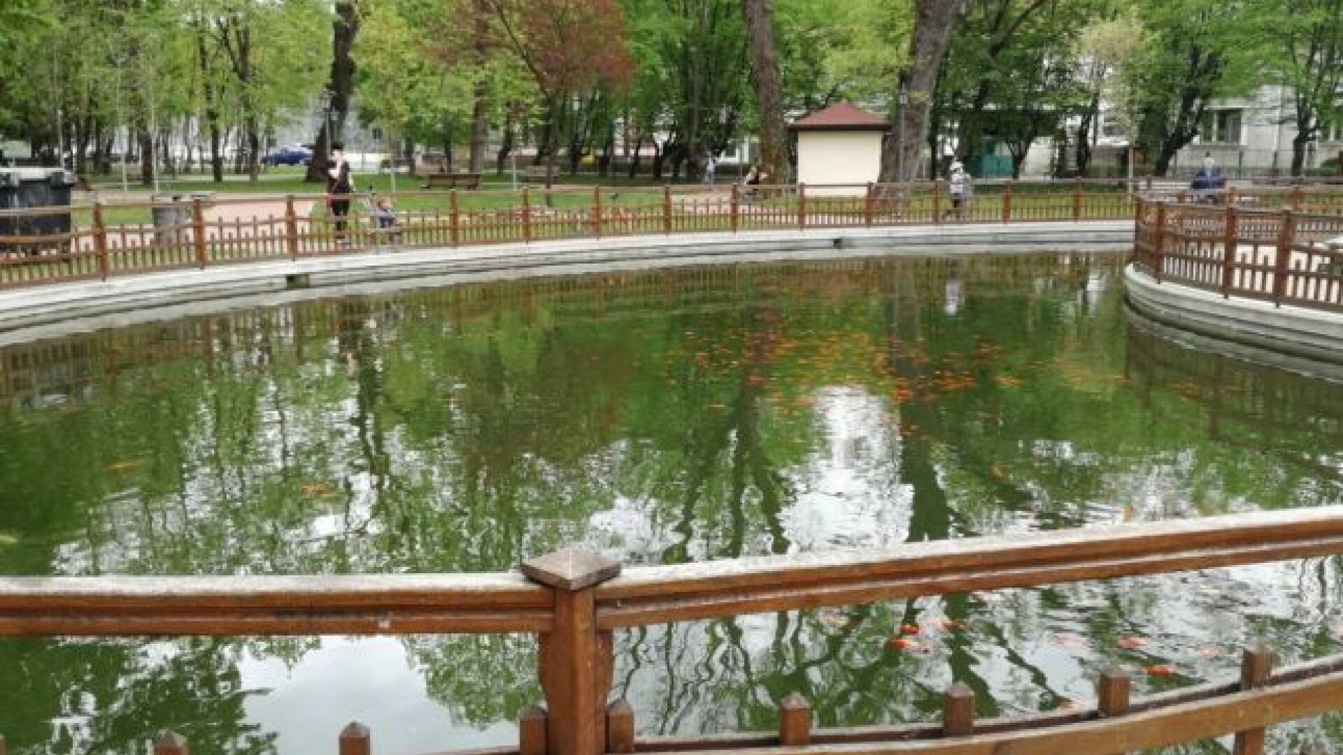 lac parc Bistrita