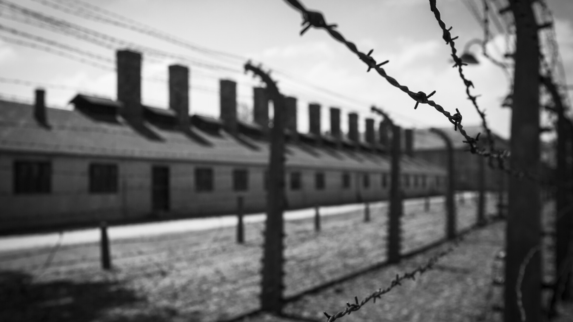 Haine jignitoare, scoase la vânzare. Legătura dintre Auschwitz și aceste produse