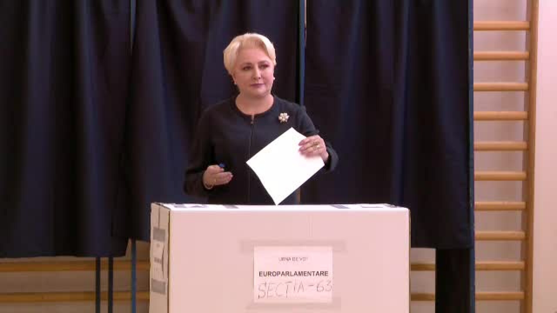 Viorica Dancila la sectia de votare