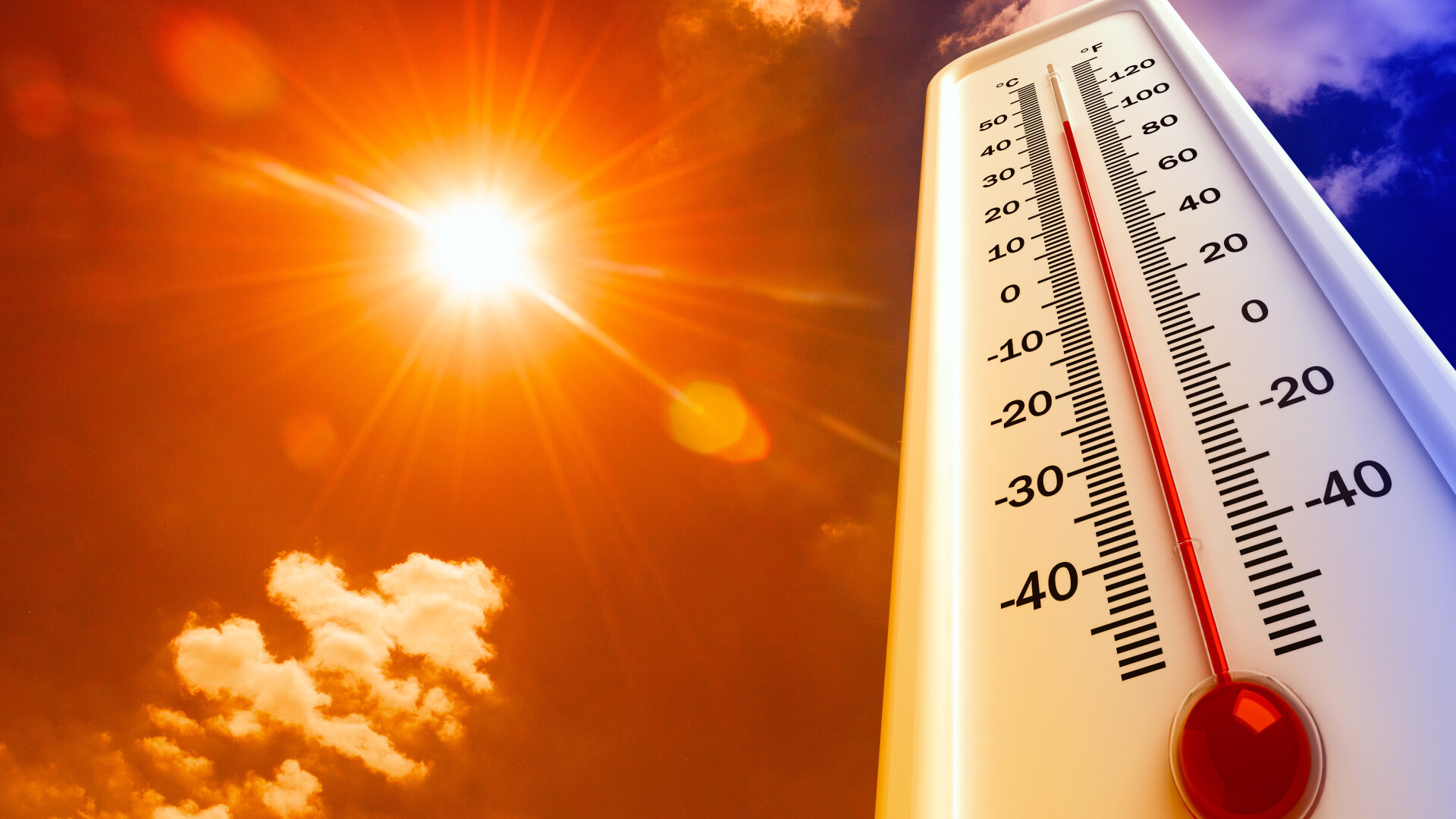 Studiu: Miliarde de oameni vor trăi în zone insuportabil de calde peste 50 de ani