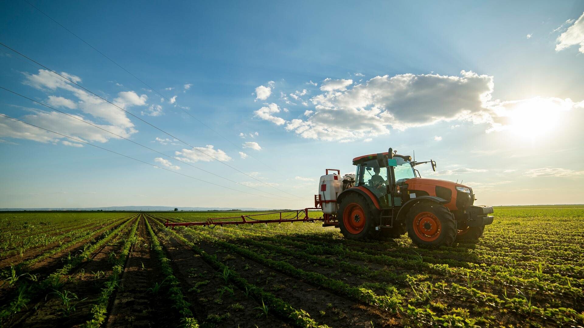 O nouă schemă de ajutor pentru agricultori. Fermierii pot primi până la 50.000 de euro printr-un program de stat