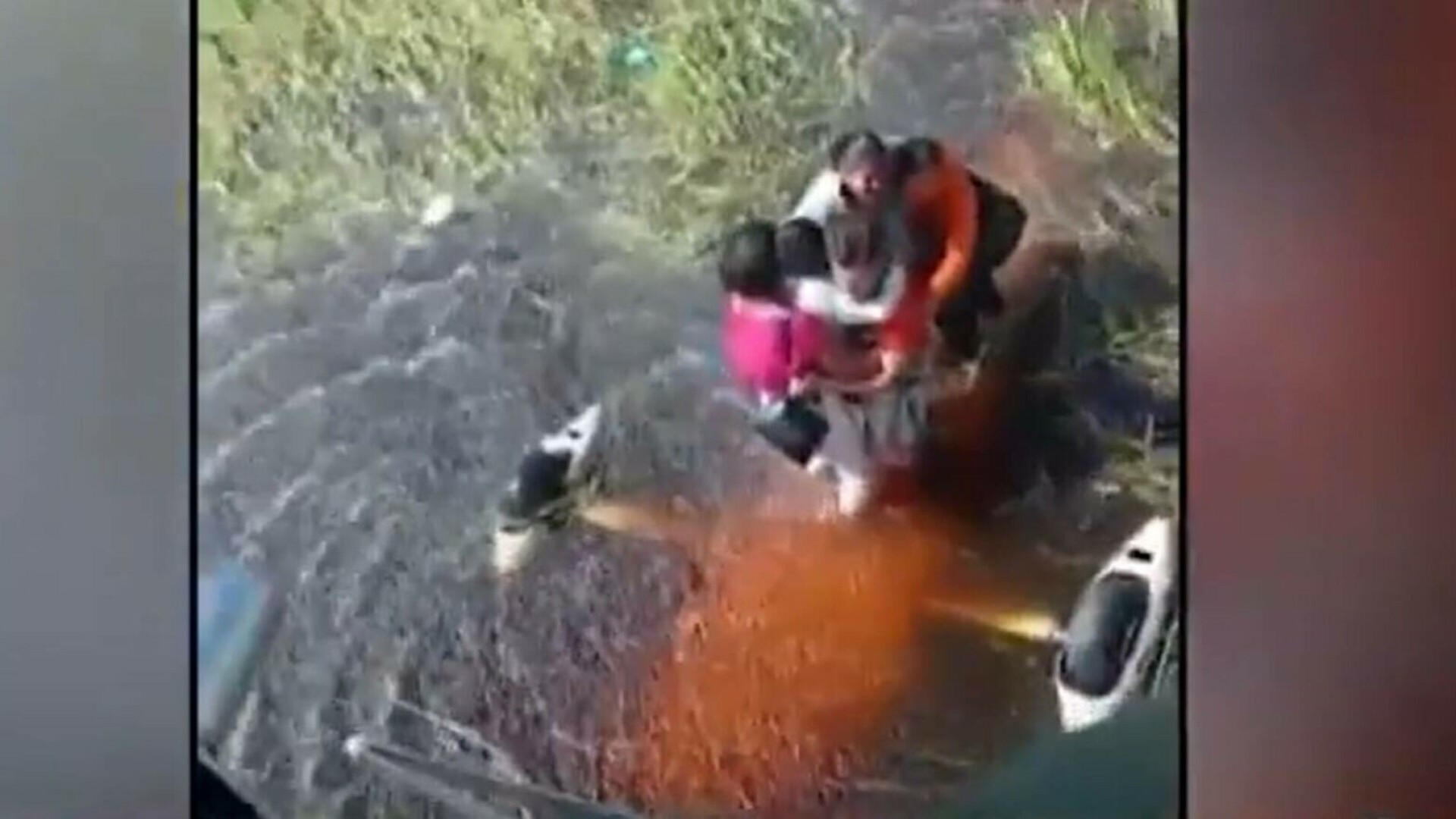 Cinci pasageri ai unui avion, blocaţi într-o mlaştină plină cu caimani după o aterizare de urgenţă. Ce a urmat | VIDEO