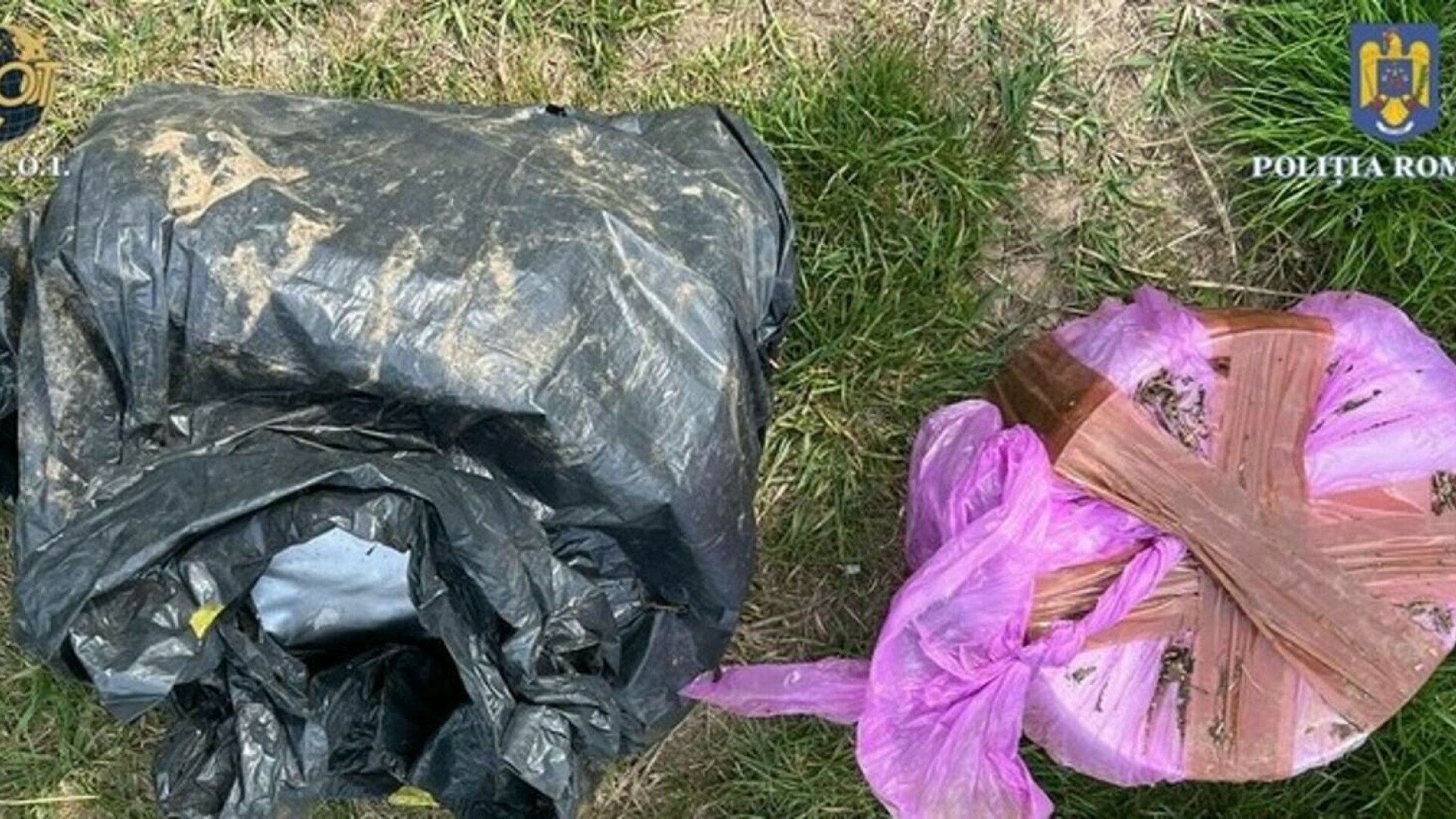 Reţea de traficanţi de droguri destructurată la Oradea. Au fost descoperite substanțe ilegale de peste 1,8 milioane de euro