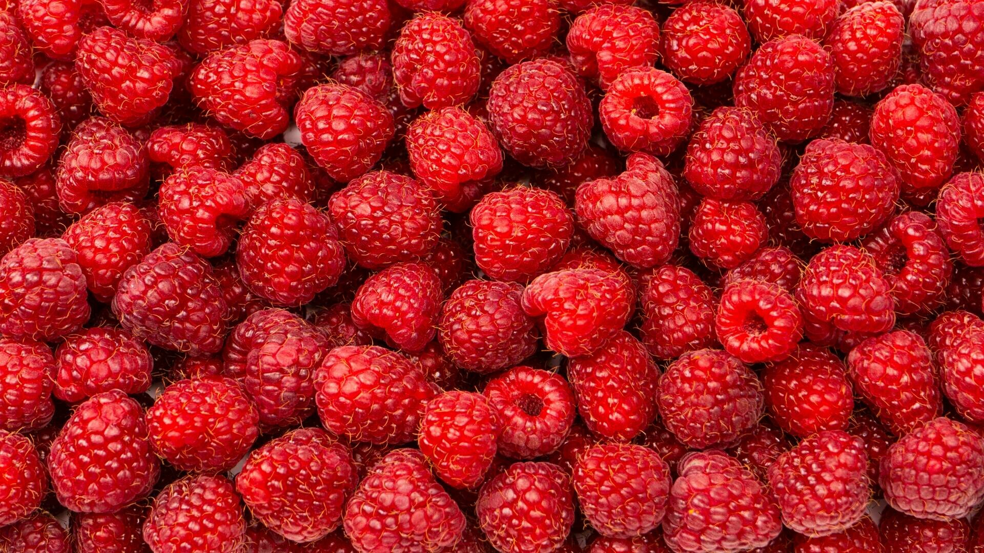 Zmeură - fructul plin de vitamine care îți întărește sănătatea. Beneficii, nutrienți și sfaturi de consum