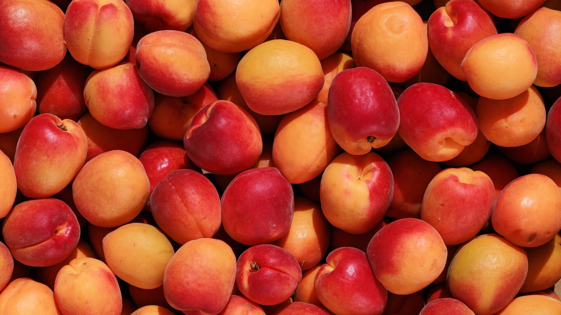 Nectarine - fructul de vară bogat în vitamine. Beneficii, valori nutriționale și moduri de consum