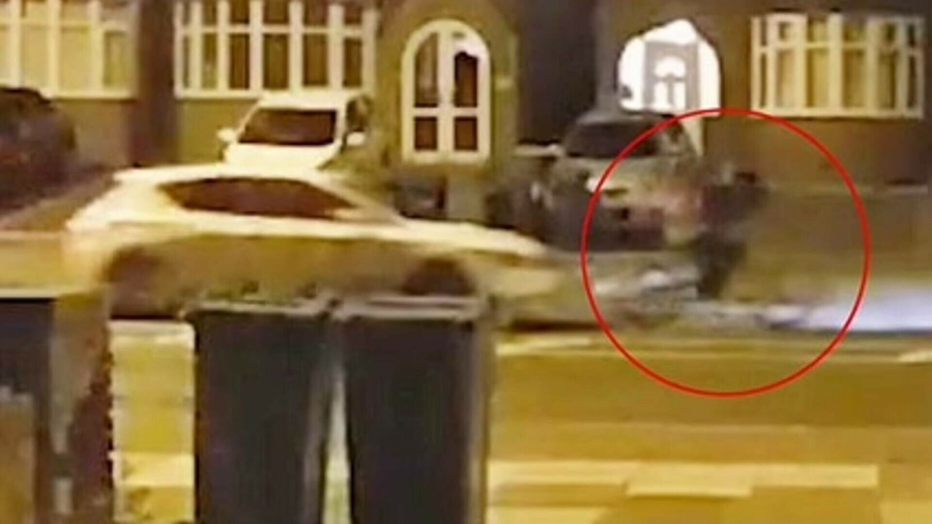 Pedeapsa primită de un șofer de 19 ani care a lovit mortal un biciclist, ca să se răzbune. VIDEO