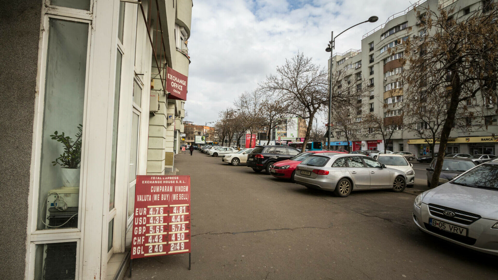 Leul, impasibil în fața principalelor valute în prima zi de vot din diaspora. Cum a evoluat cursul