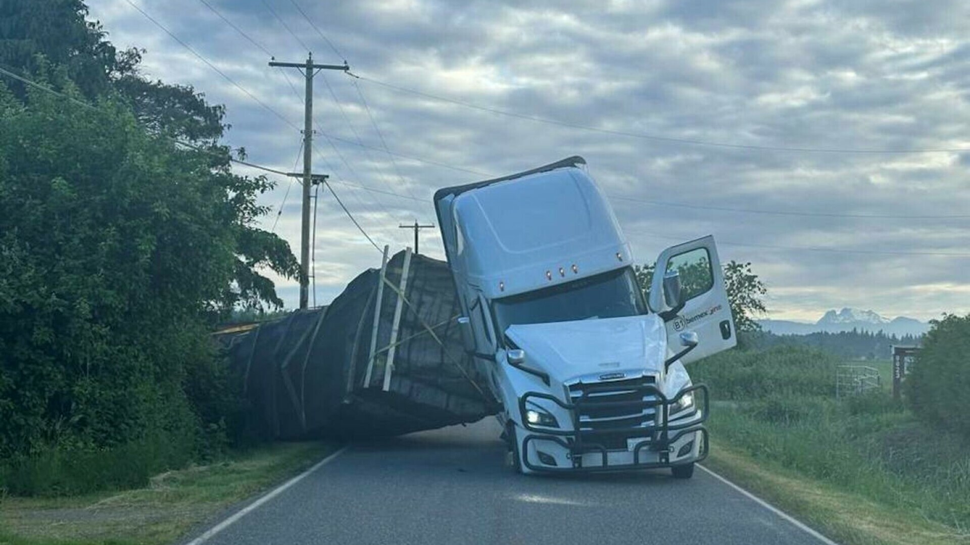 Sute de milioane de albine au scăpat în SUA, după ce un camion s-a răsturnat. Avertismentul autorităților