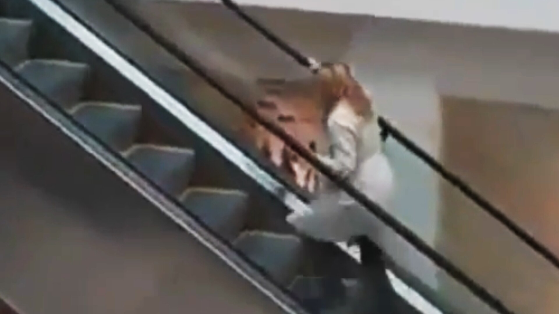 blonda pe scari
